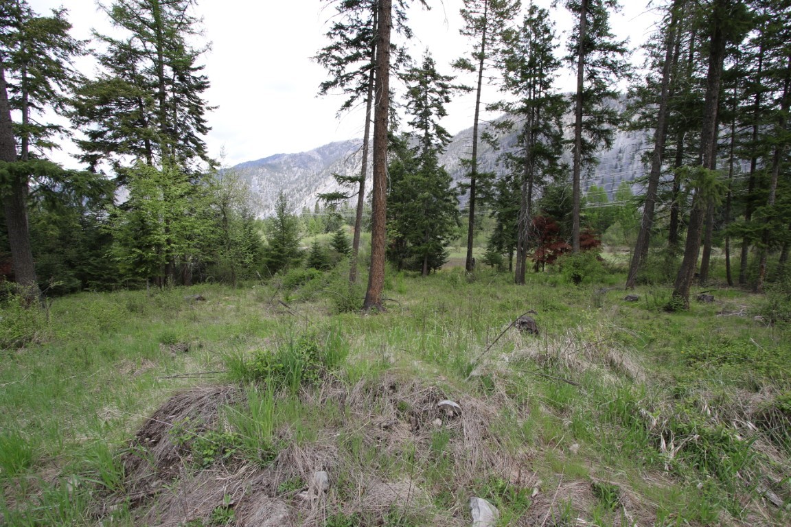 Wooded land parcel with a grassy clearing and mountains beyond the conifers.