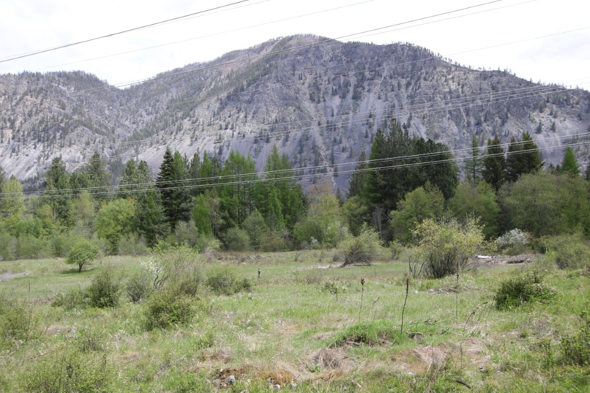 Open grassy land with shrubs and trees below a steep, forested mountain.
