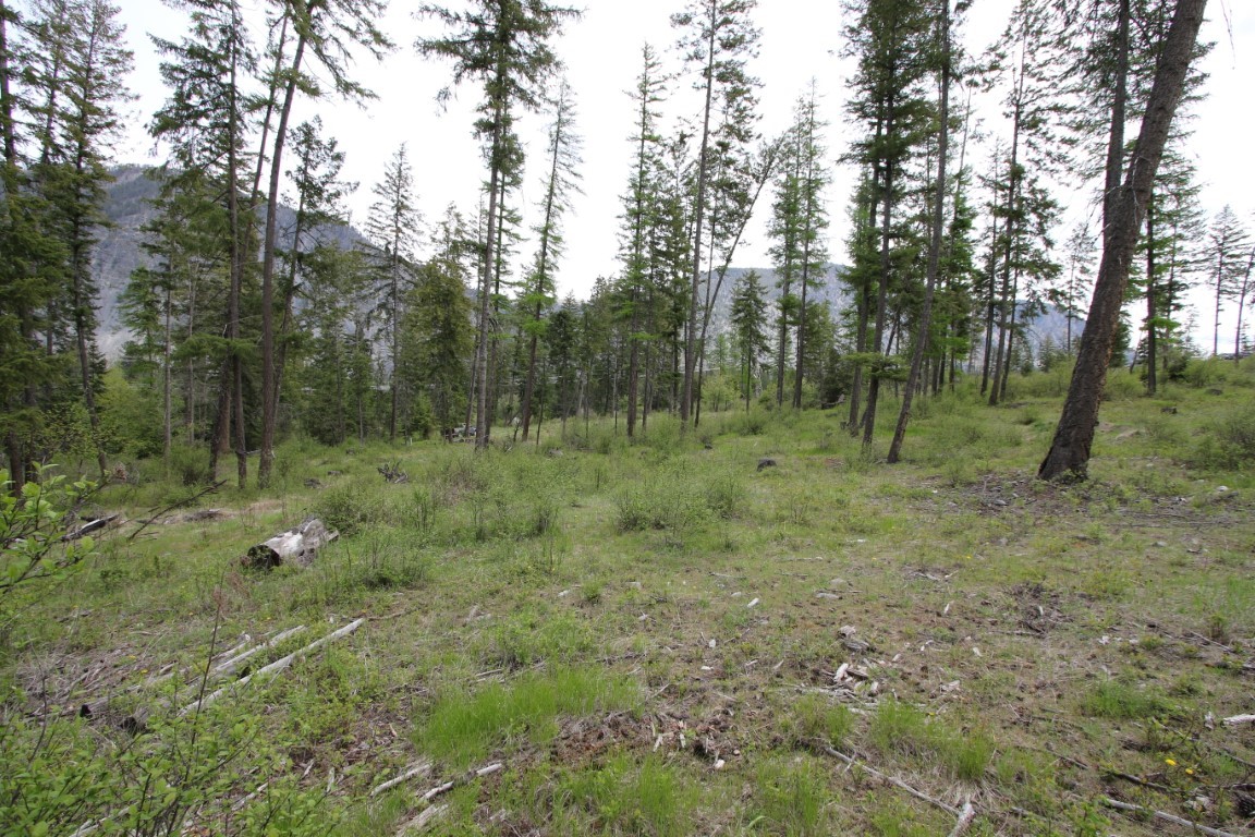 Wooded vacant land with a grassy clearing, fallen logs, and distant mountain slopes.