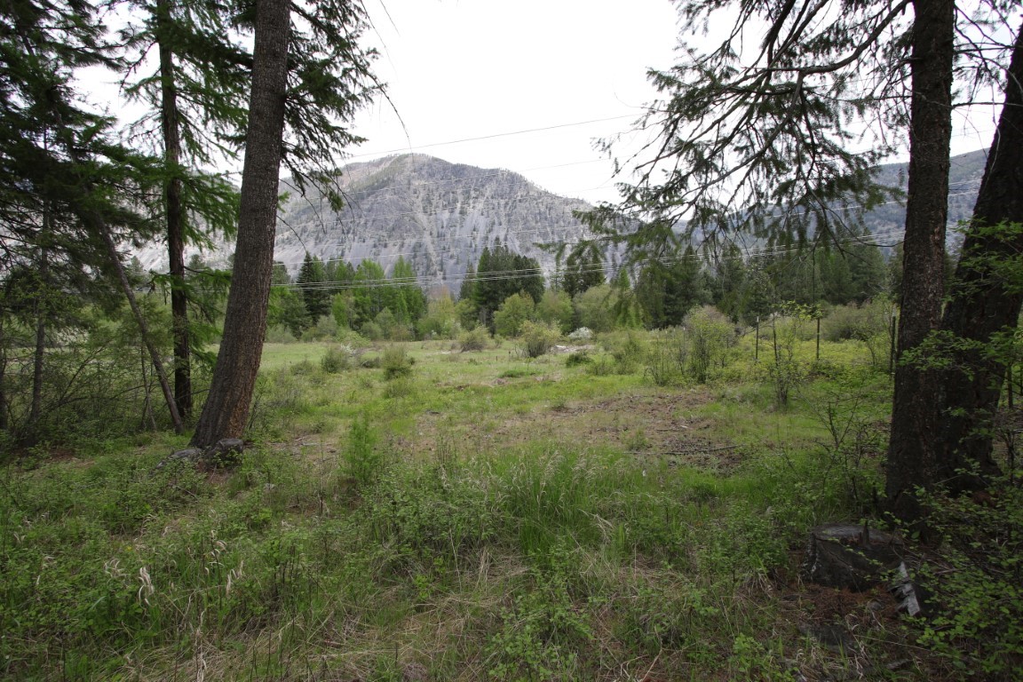 Vacant land with a grassy meadow and shrubs, framed by evergreens with a mountain in the background.