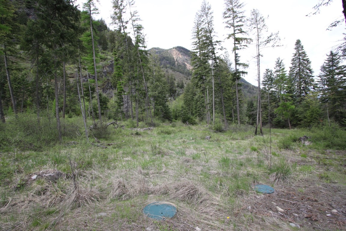 Wooded land clearing with evergreen trees, a distant rocky mountain ridge, and two blue utility covers.
