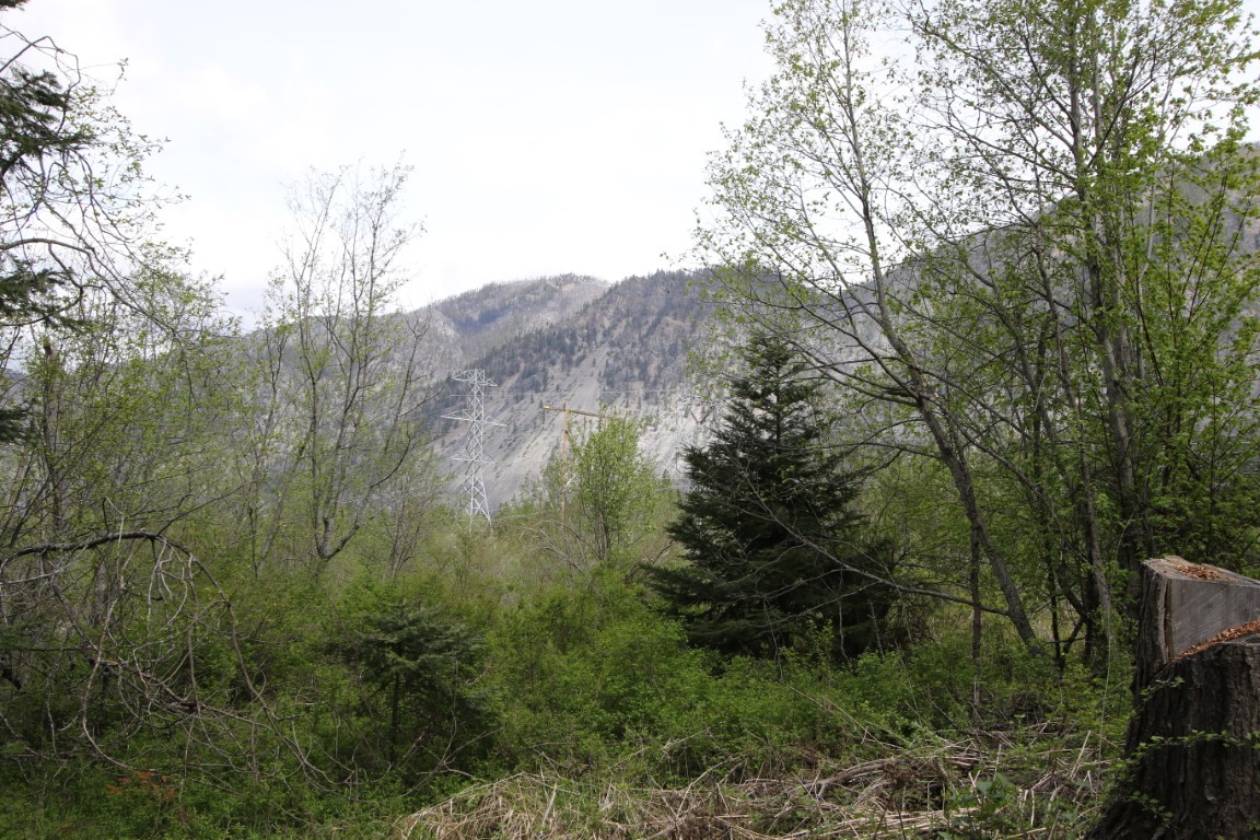 Wooded land overlooks a rocky mountain slope, with a transmission tower visible through the trees.