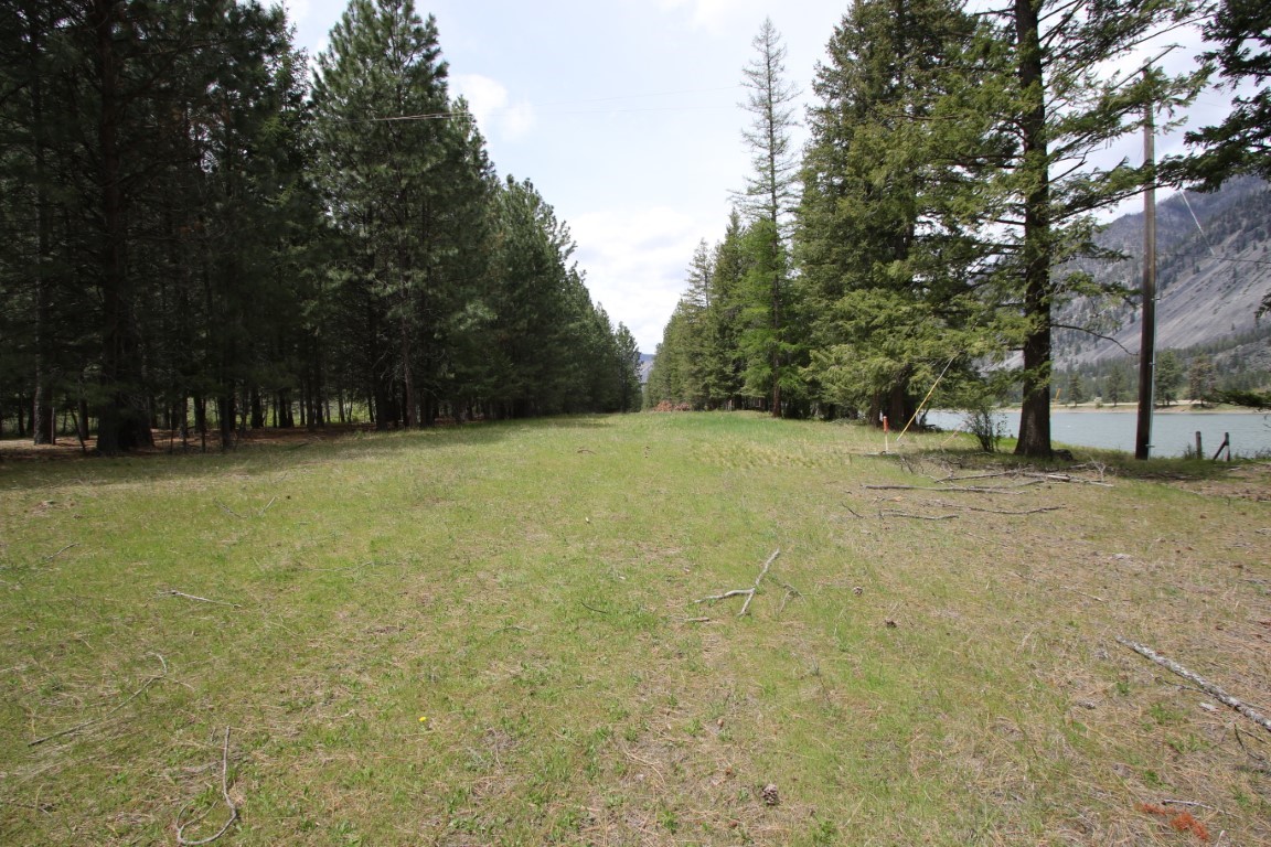 Grassy vacant land between pine trees, with a river and mountain slope to the right.