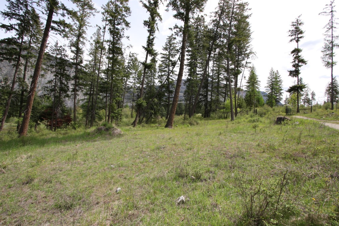 Wooded land with a grassy clearing, evergreen trees, and distant mountains.
