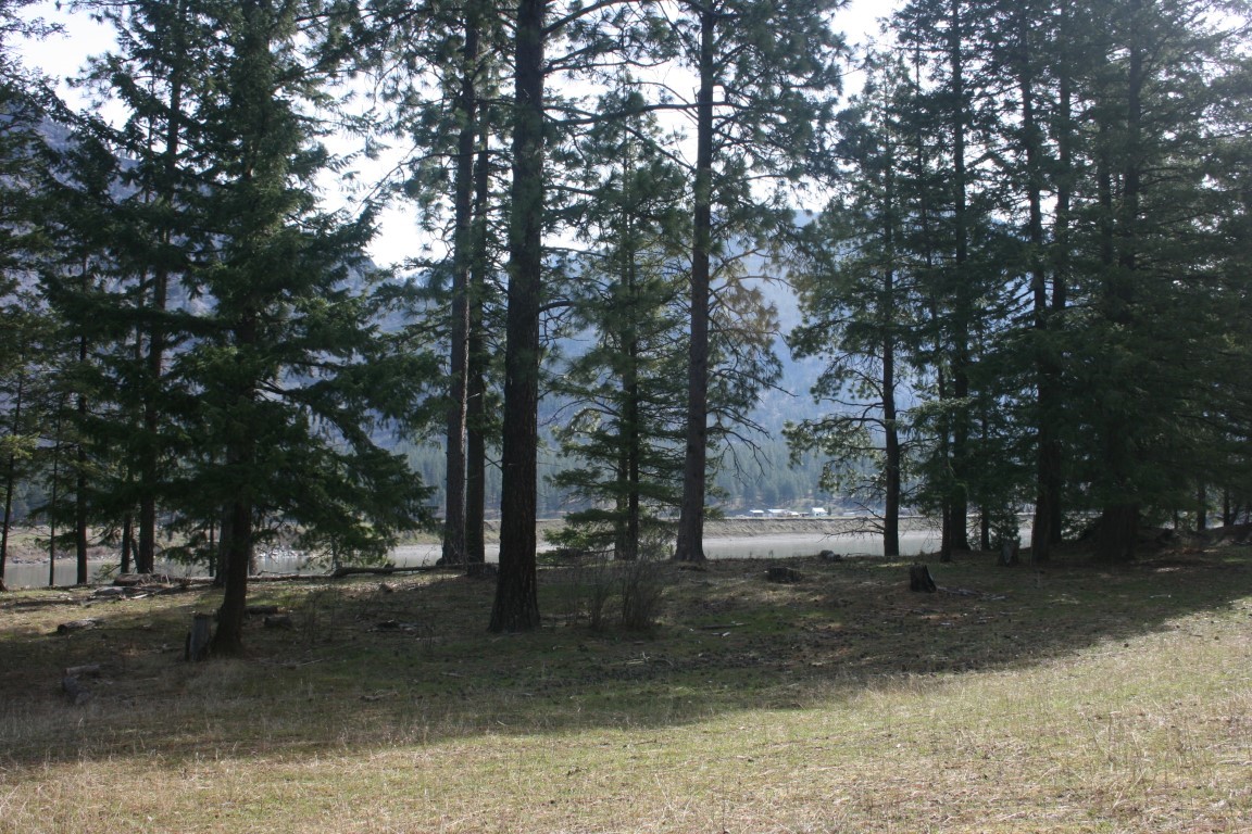 Wooded riverfront land with evergreen trees and distant mountains.