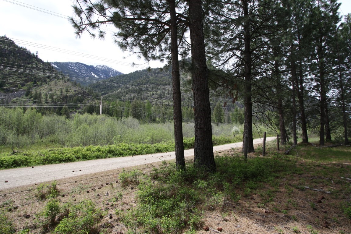 Wooded vacant land beside a gravel road, with pine trees, a wire fence, and forested mountains beyond.