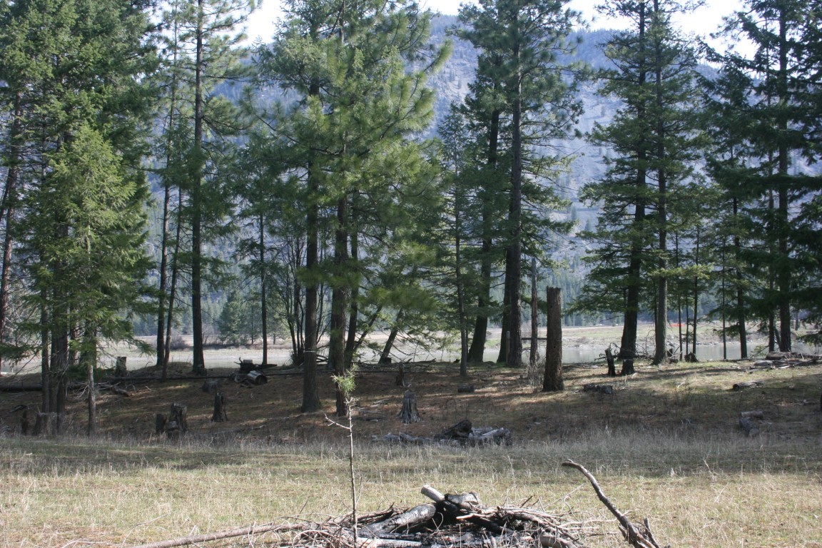 Wooded land with a grassy clearing, river, and distant mountain.