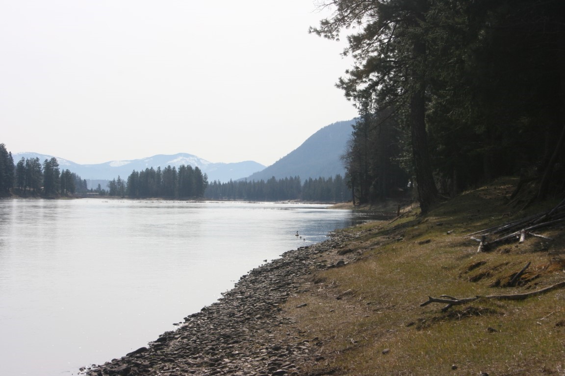 Riverfront shoreline with a rocky bank, evergreen trees, and distant mountains.