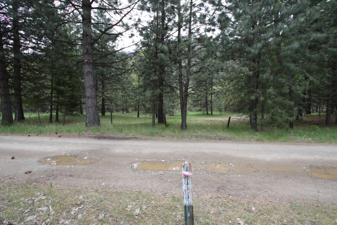 Wooded land parcel beside a gravel road, with a survey stake in the foreground.
