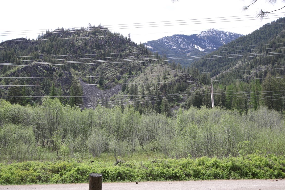Wooded vacant land facing forested mountains with distant snow-covered peaks and power lines.