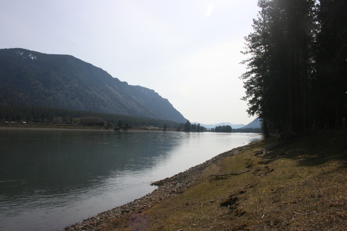 Riverfront shoreline with a grassy bank, tall trees, and forested mountains across the water.