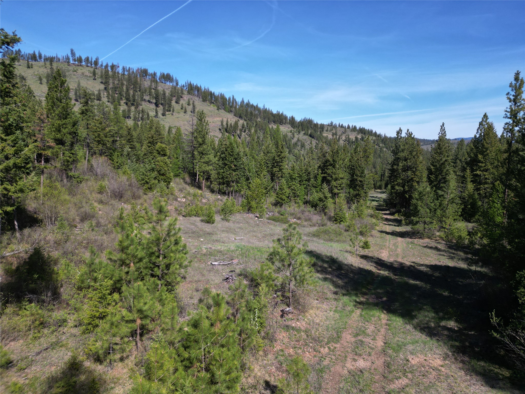 NHN Tract 1C E Fork Combest Creek Road