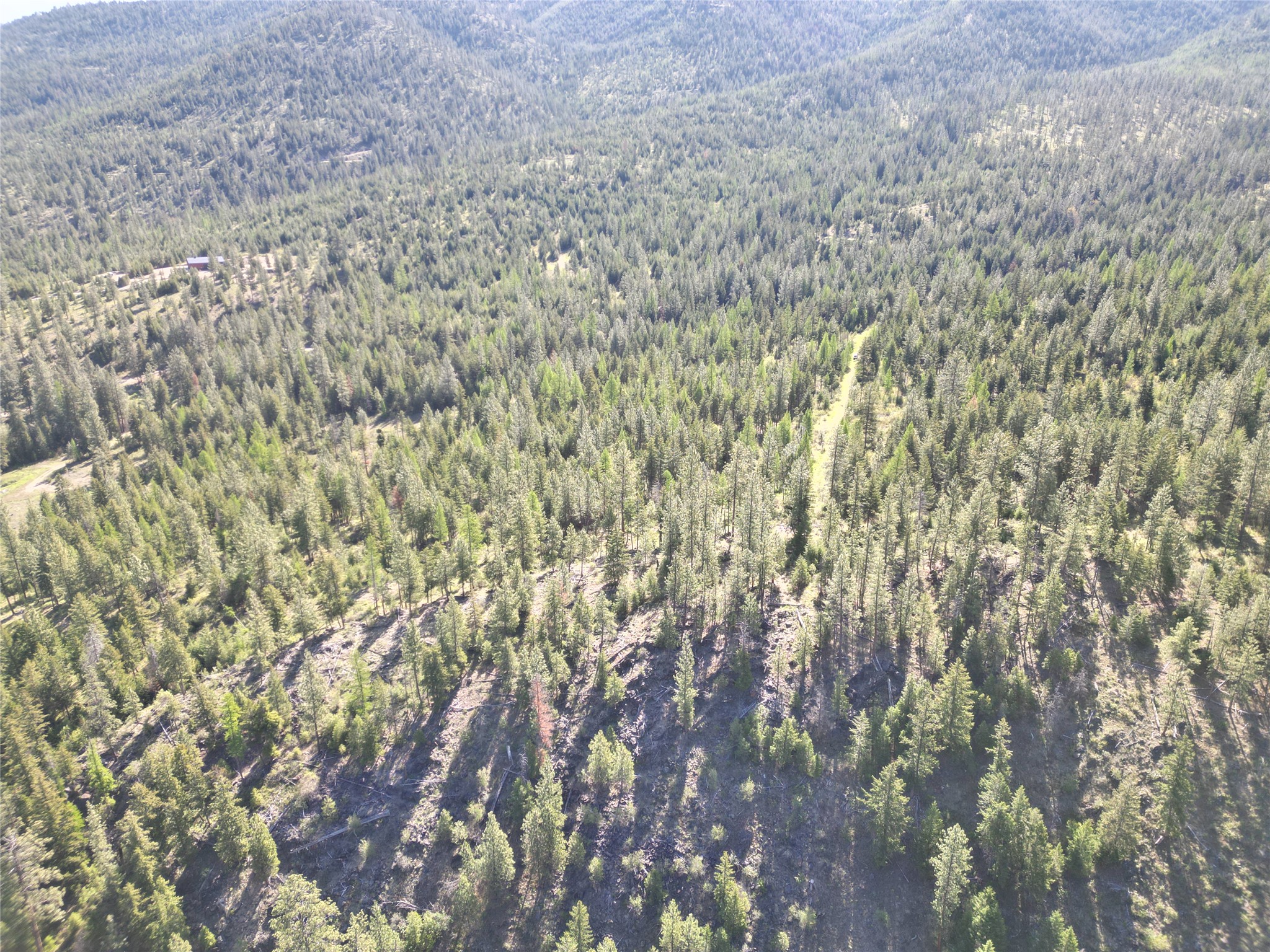 NHN Tract 1C E Fork Combest Creek Road
