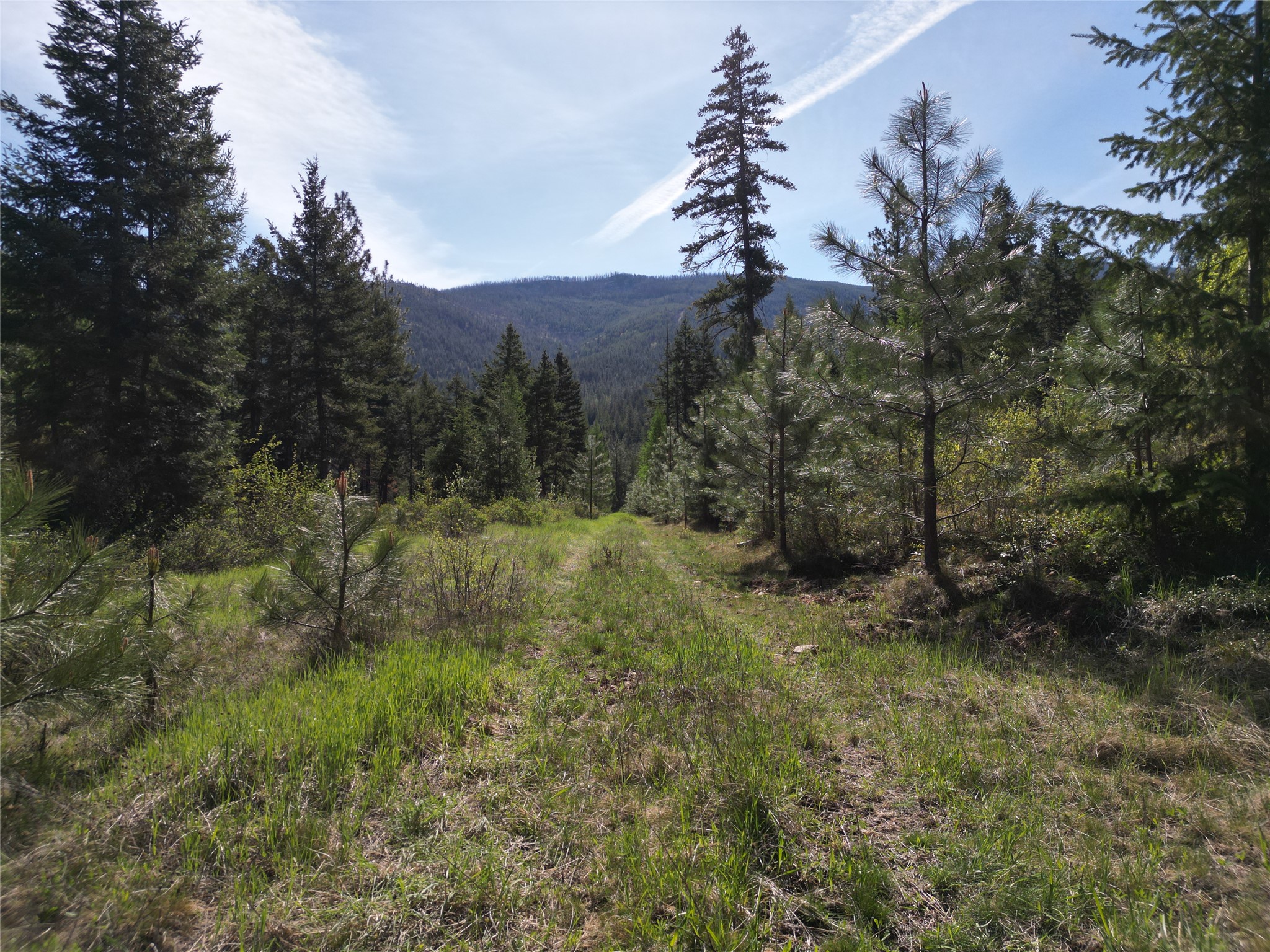 NHN Tract 1C E Fork Combest Creek Road