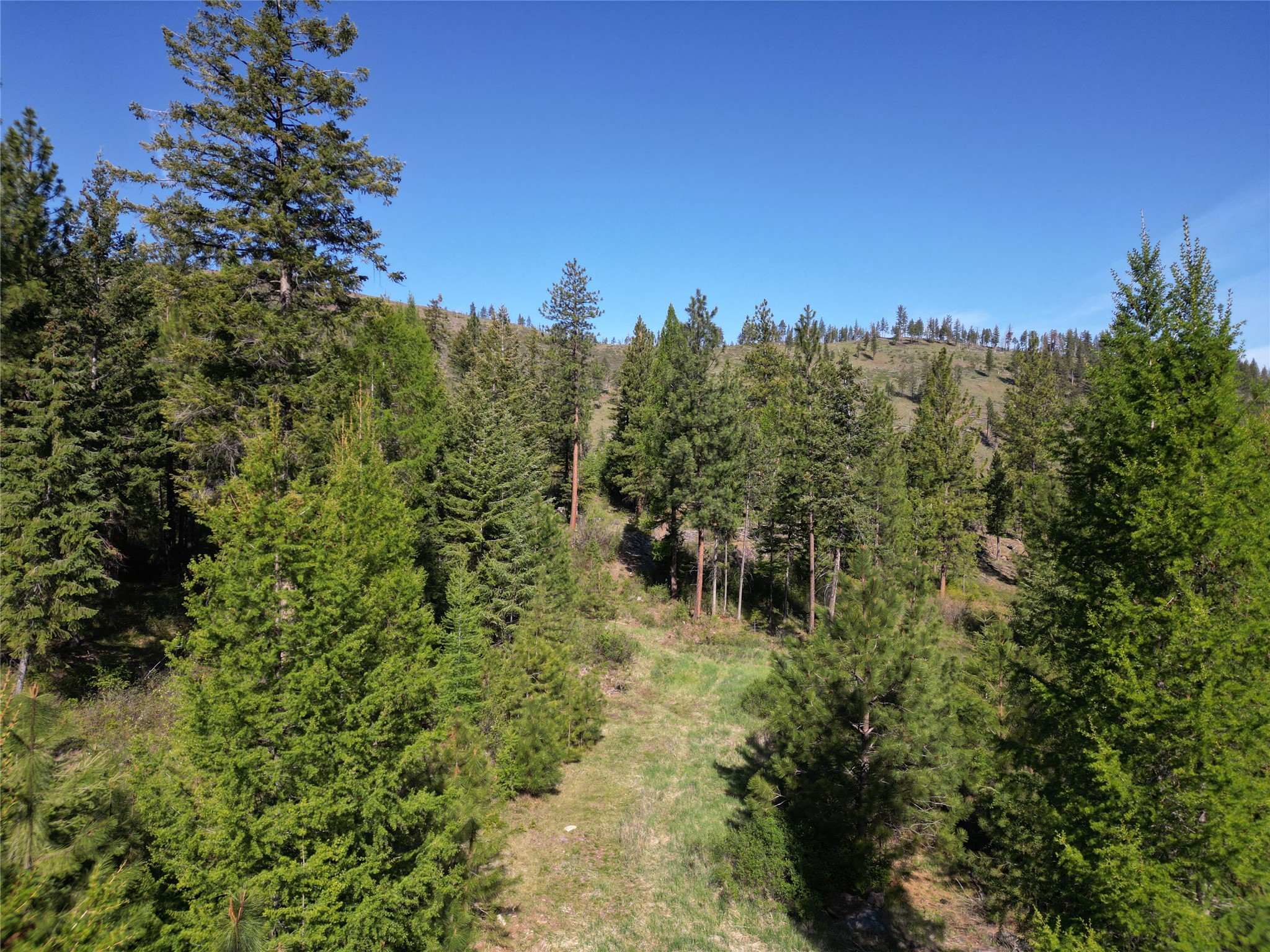 NHN Tract 1C E Fork Combest Creek Road
