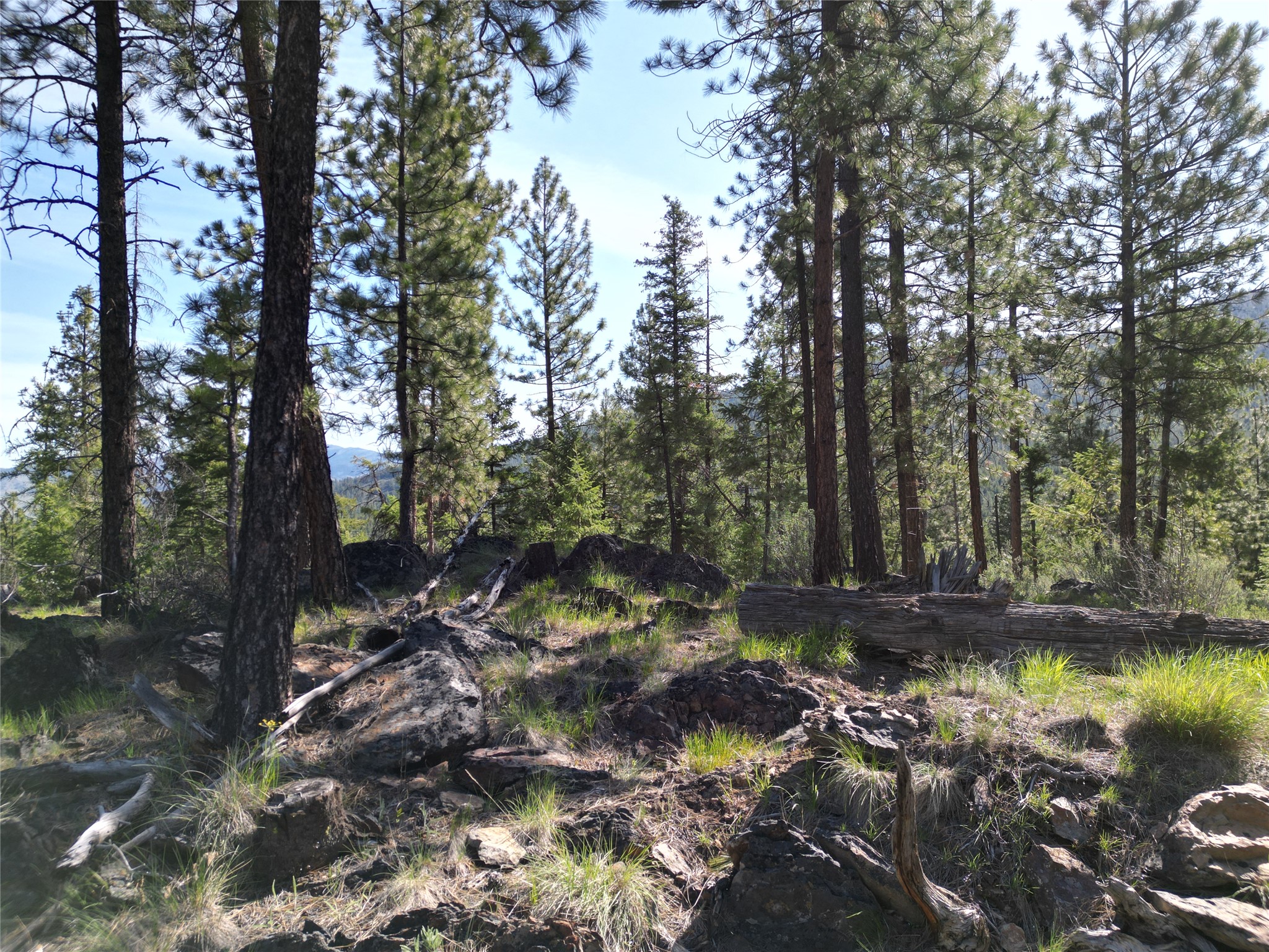 NHN Tract 1C E Fork Combest Creek Road