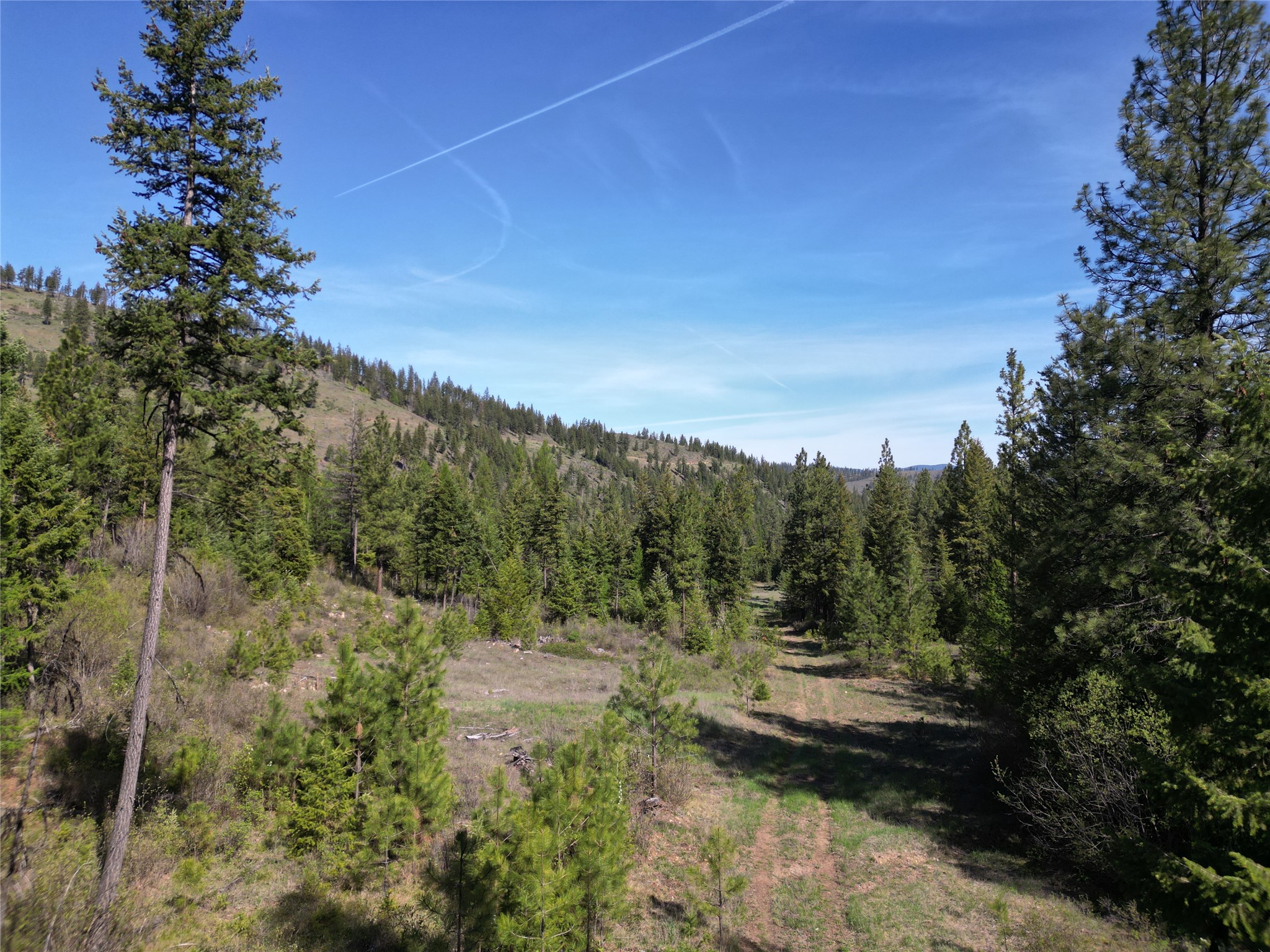 NHN Tract 1C E Fork Combest Creek Road