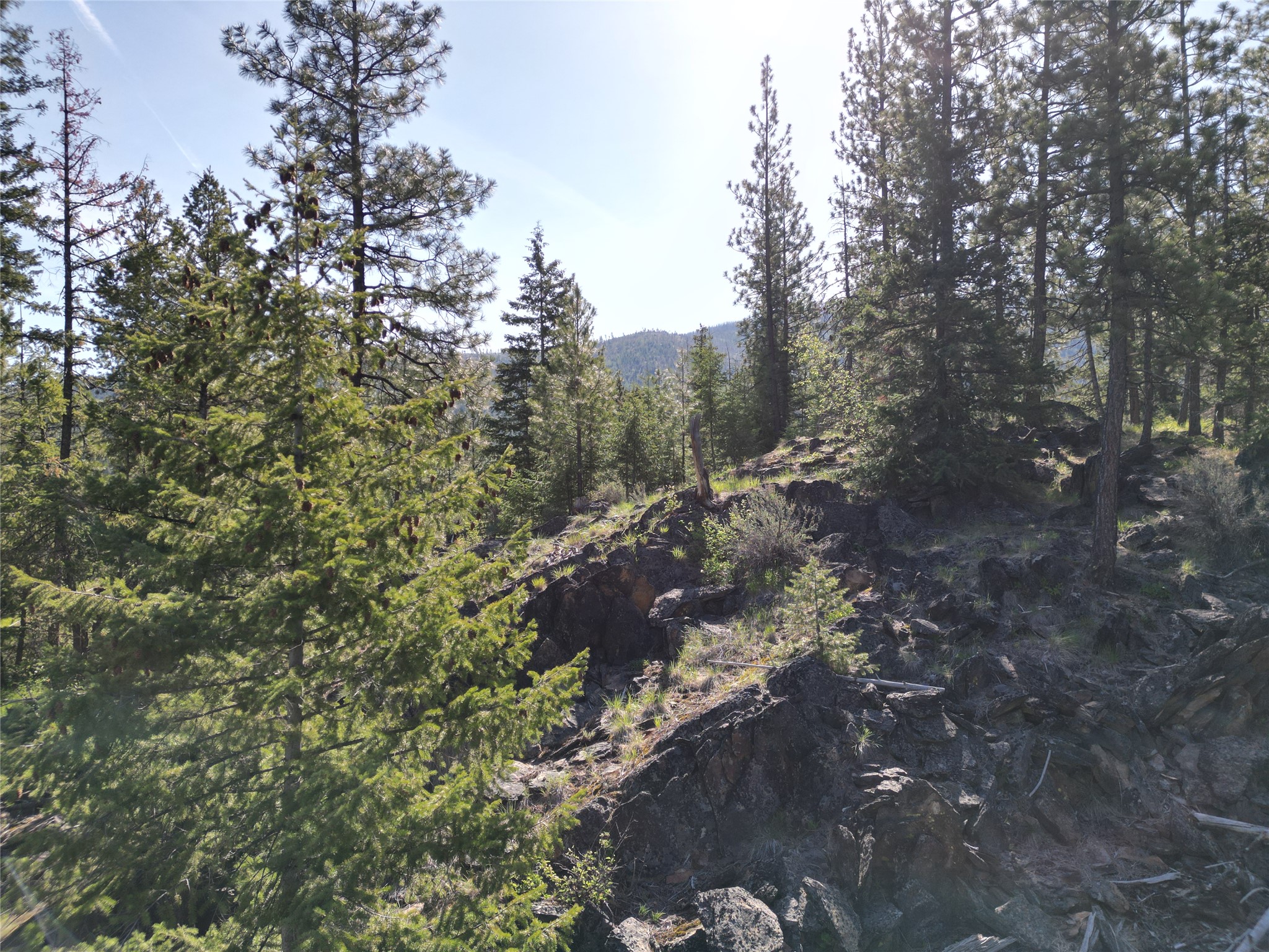 NHN Tract 1C E Fork Combest Creek Road
