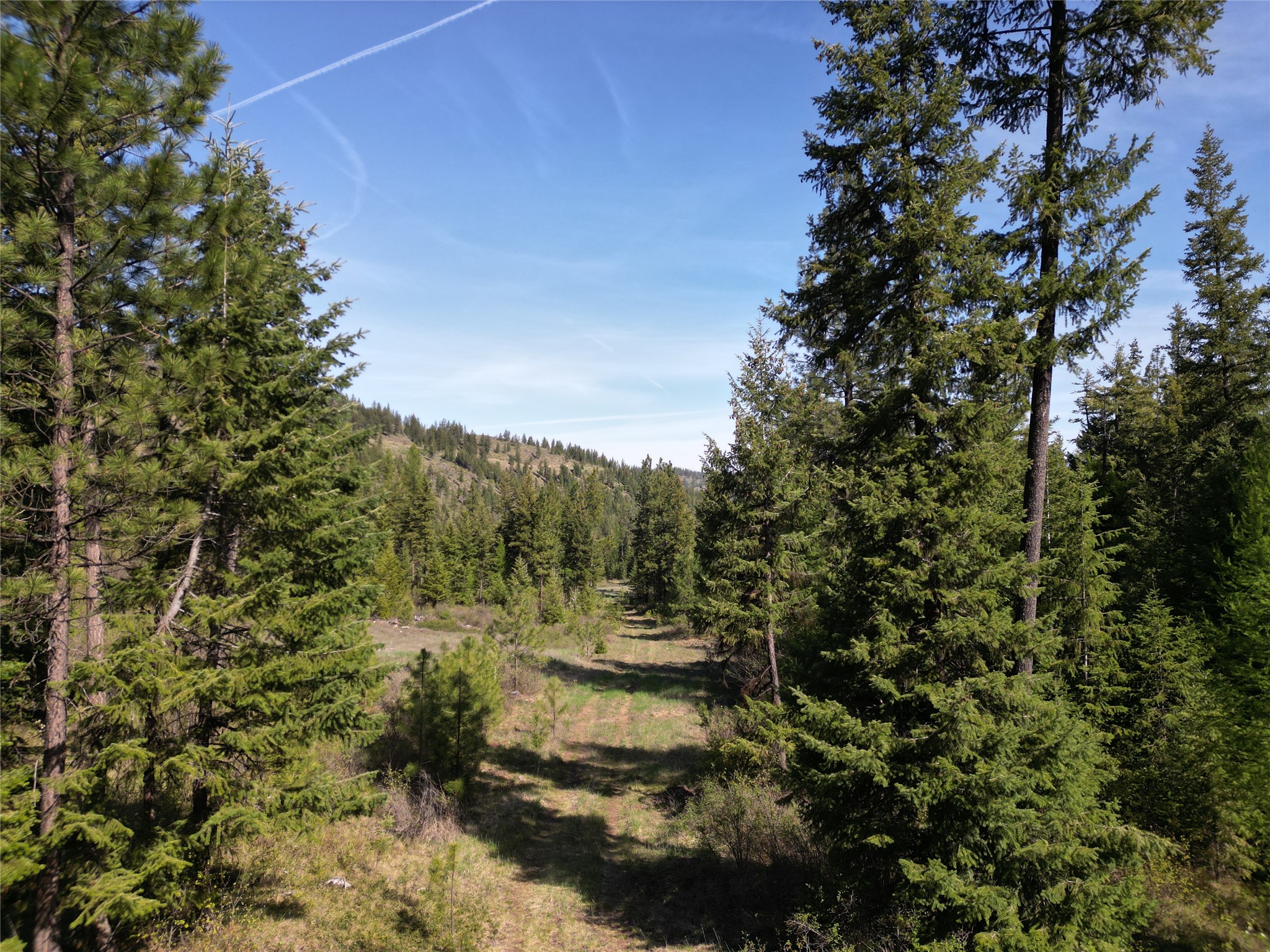 NHN Tract 1C E Fork Combest Creek Road