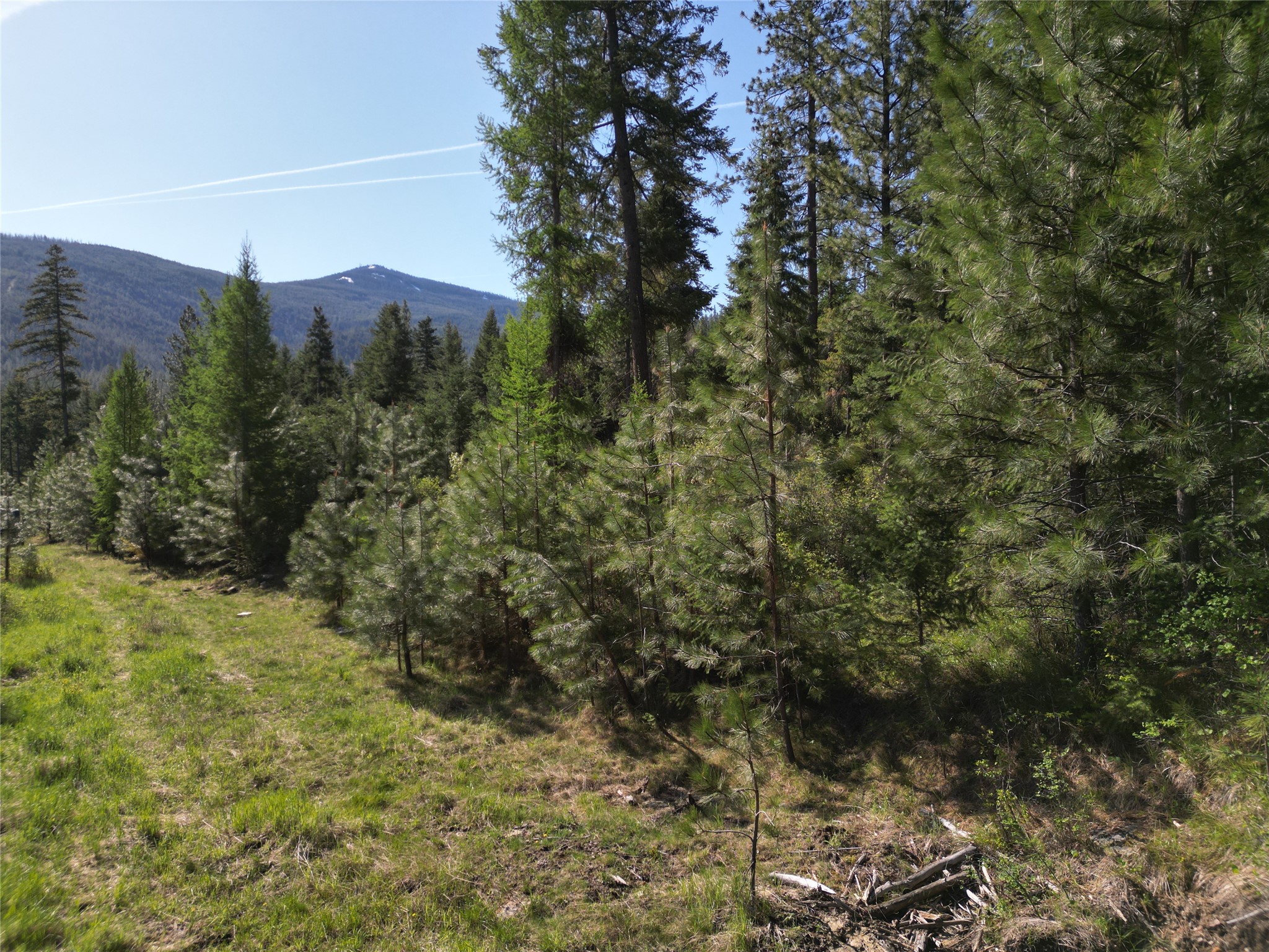 NHN Tract 1C E Fork Combest Creek Road