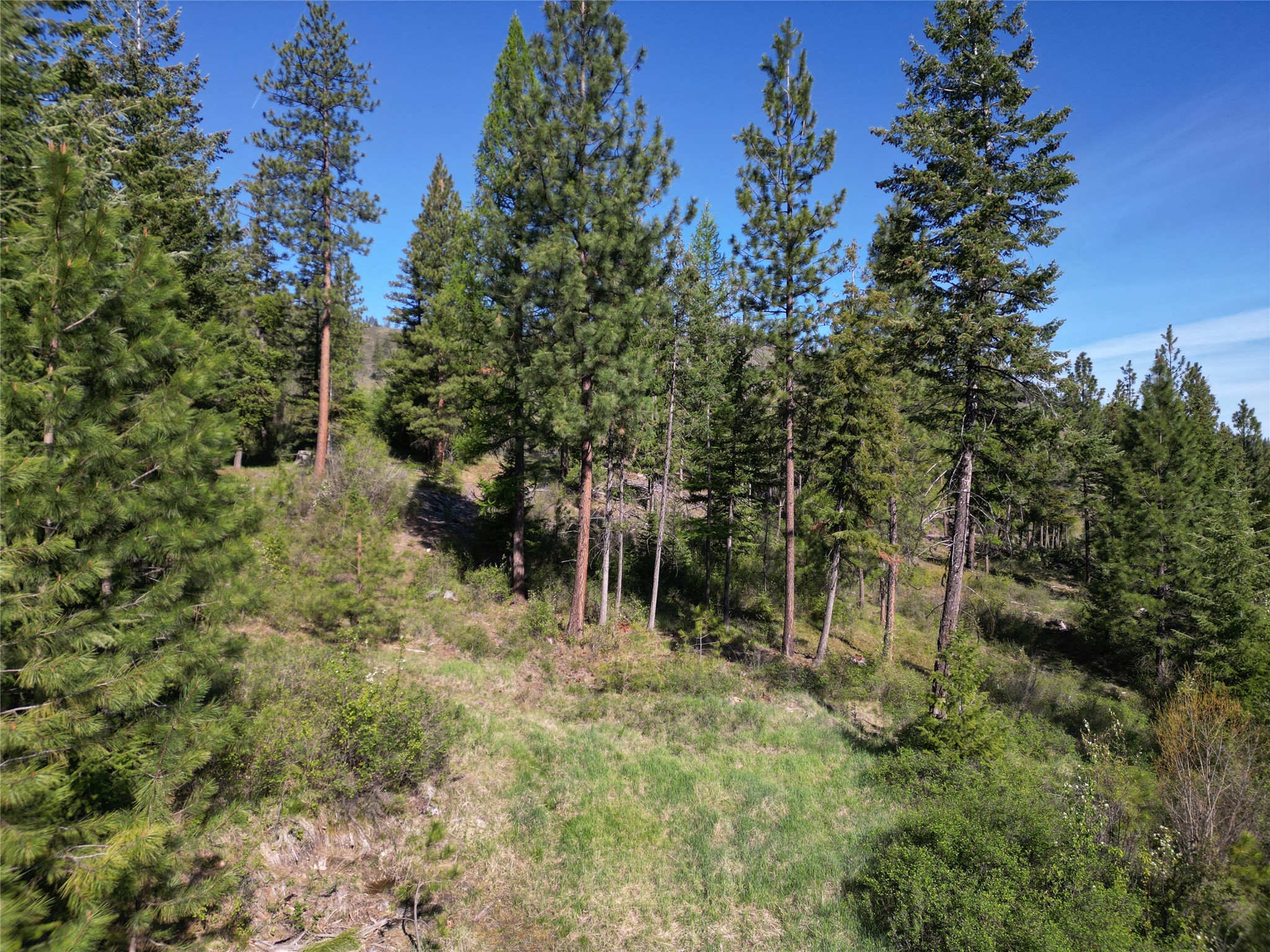 NHN Tract 1C E Fork Combest Creek Road