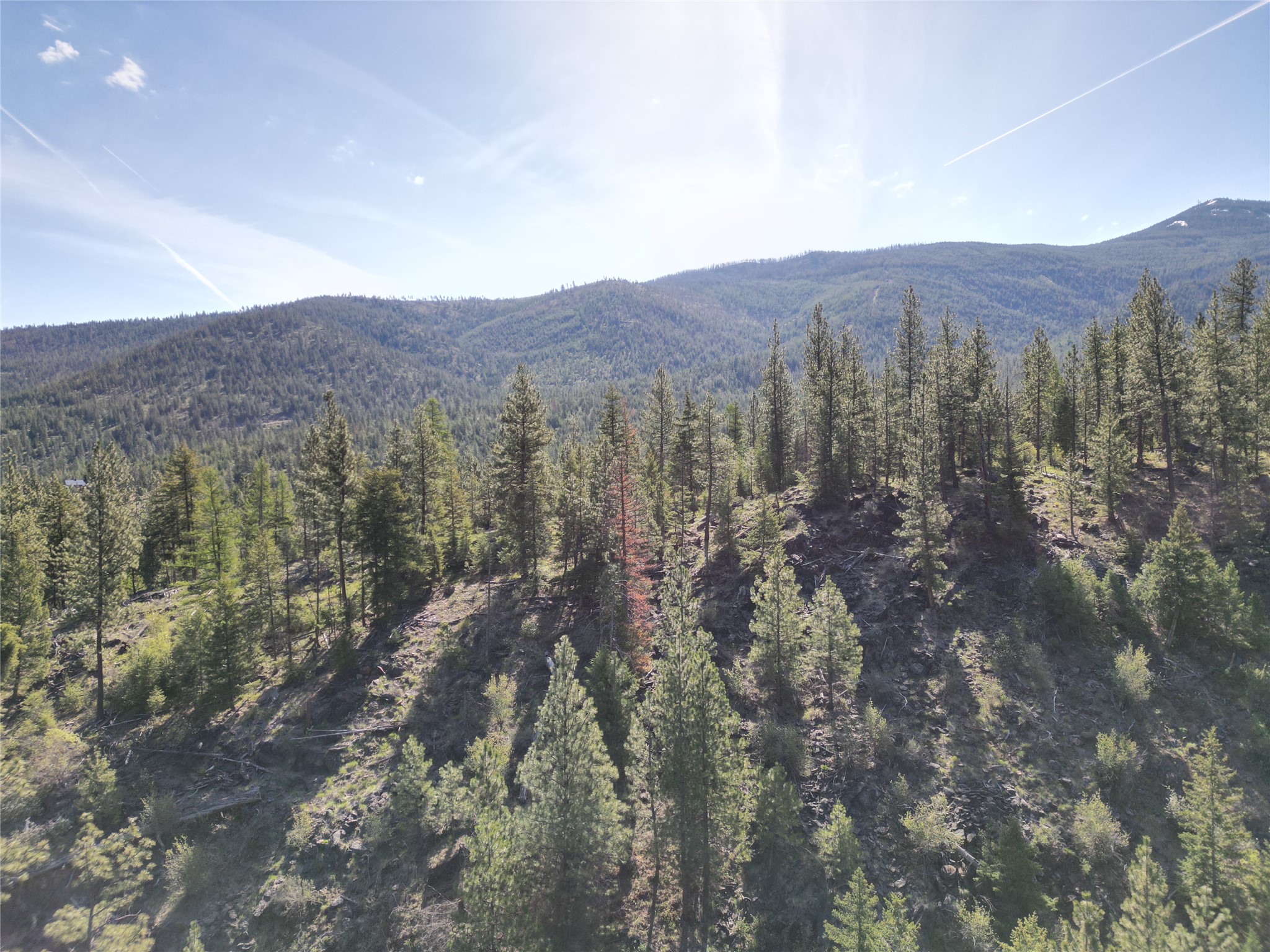 NHN Tract 1C E Fork Combest Creek Road