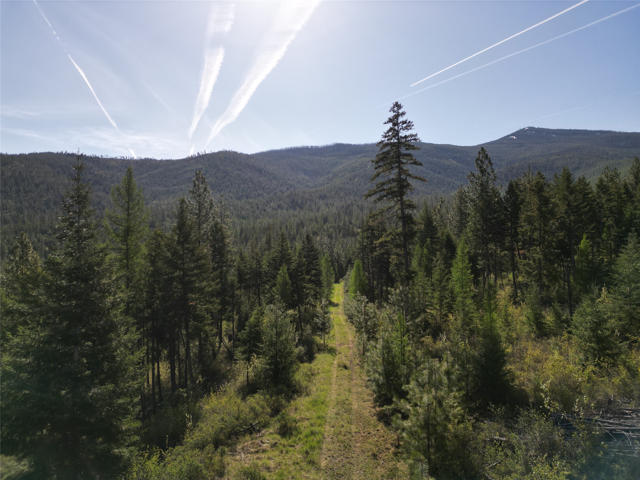 NHN Tract 1C E Fork Combest Creek Road