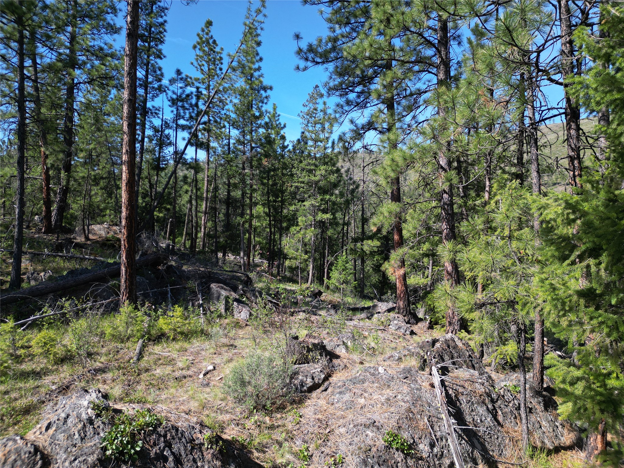 NHN Tract 1C E Fork Combest Creek Road