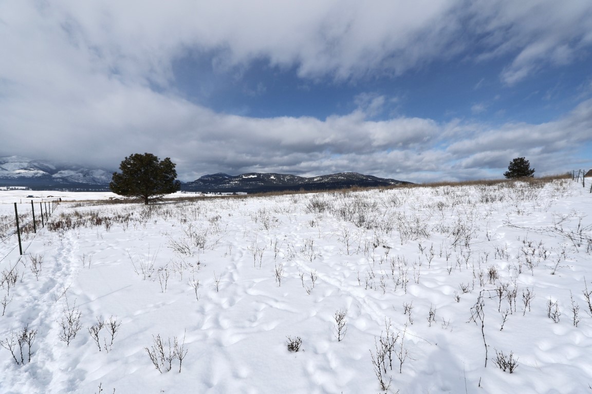 NHN Lot 9 Chets Court