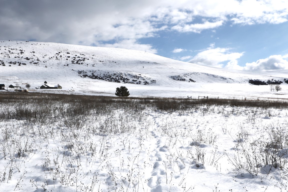 NHN Lot 9 Chets Court