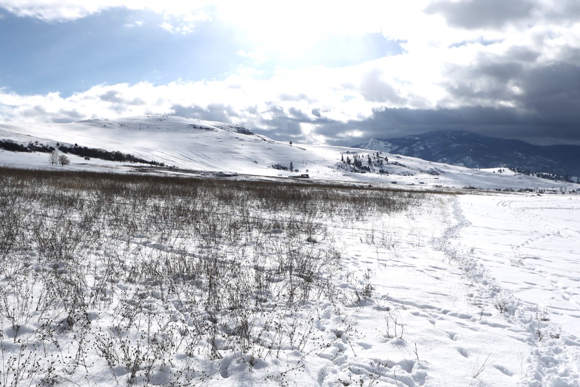 NHN Lot 9 Chets Court