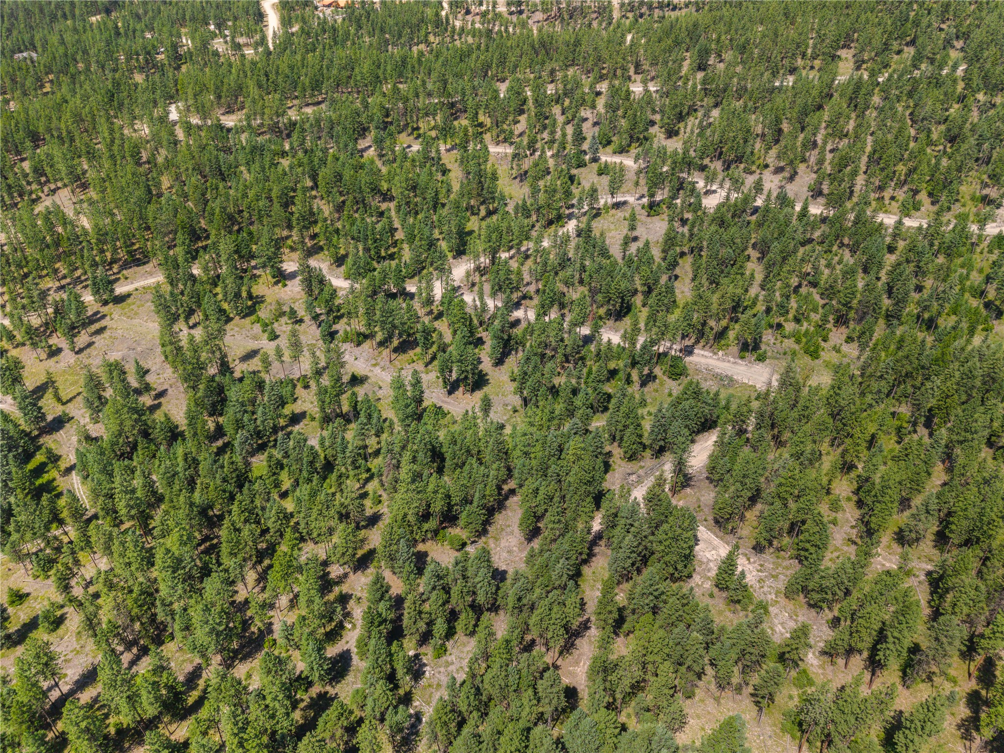 Aerial view of a wooded lot with scattered clearings and winding dirt roads.