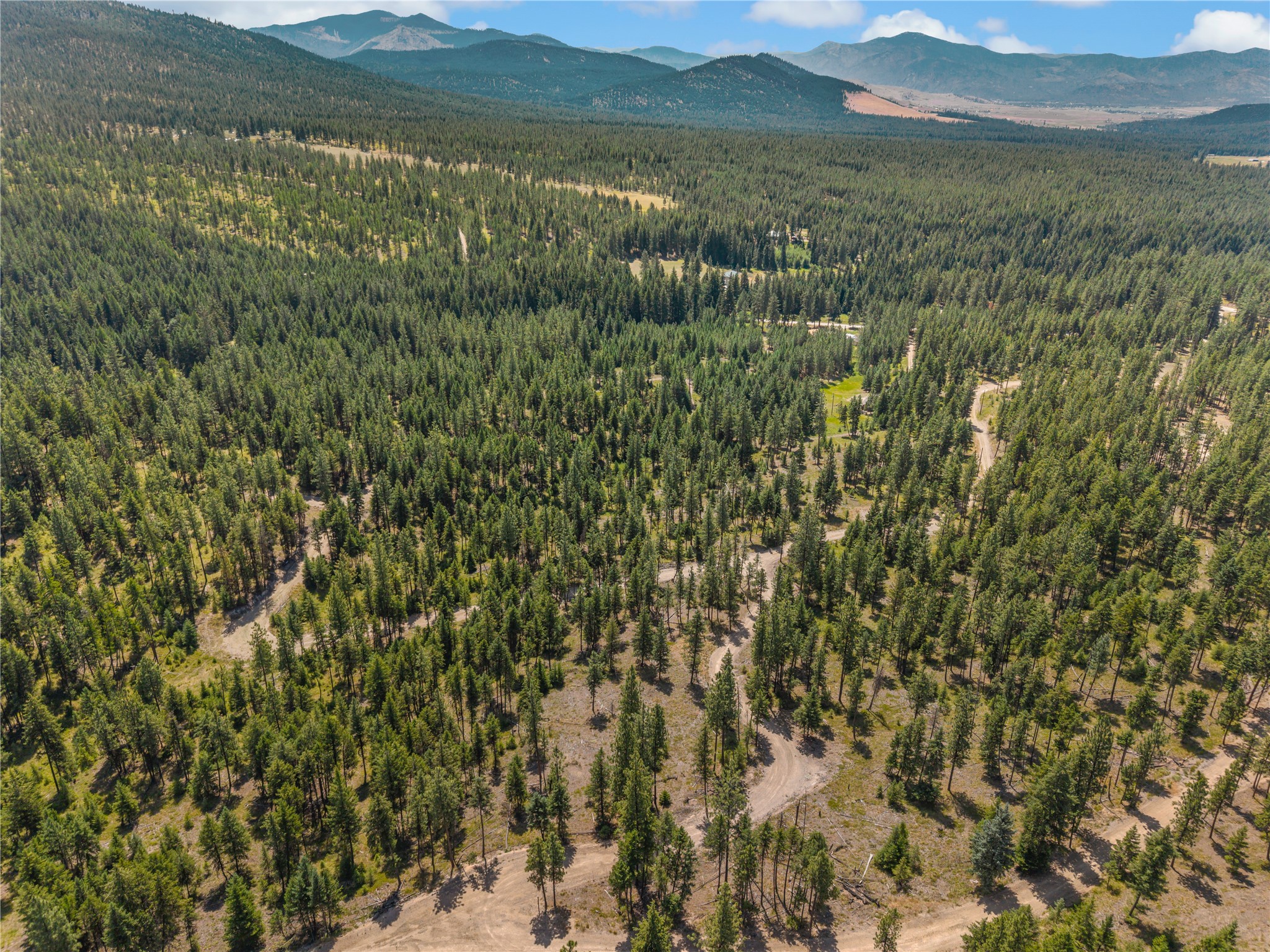 Aerial view of forested land with winding dirt roads and distant mountain ranges.