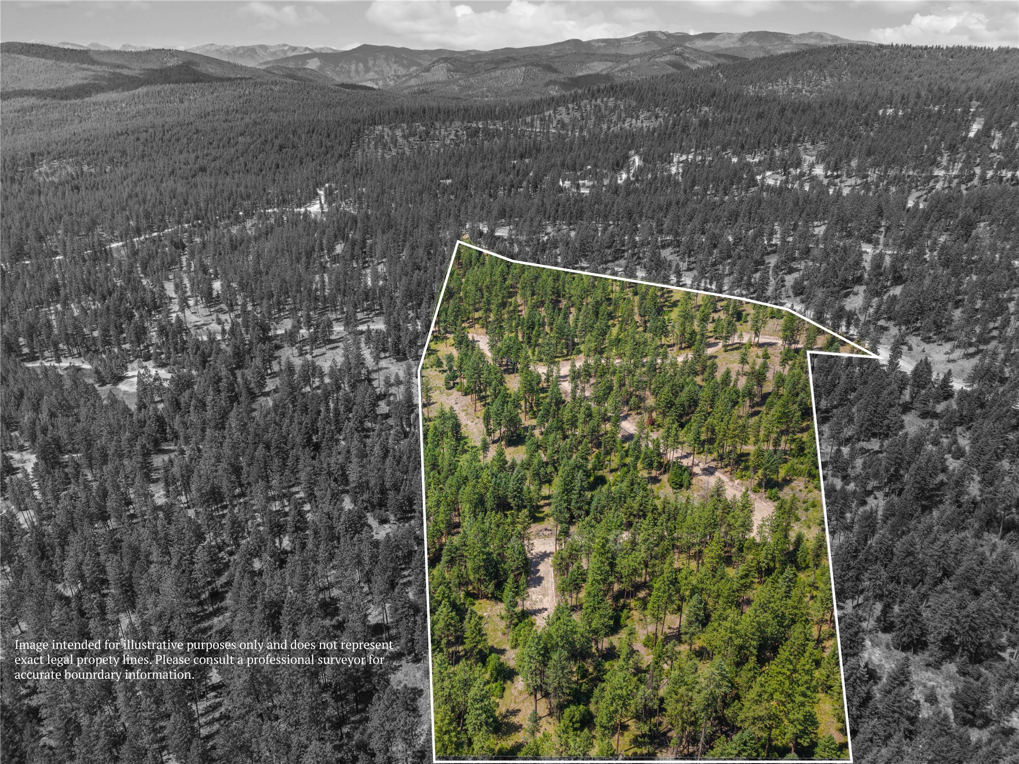 Aerial view of a wooded lot outlined in white, with forest and mountains beyond.