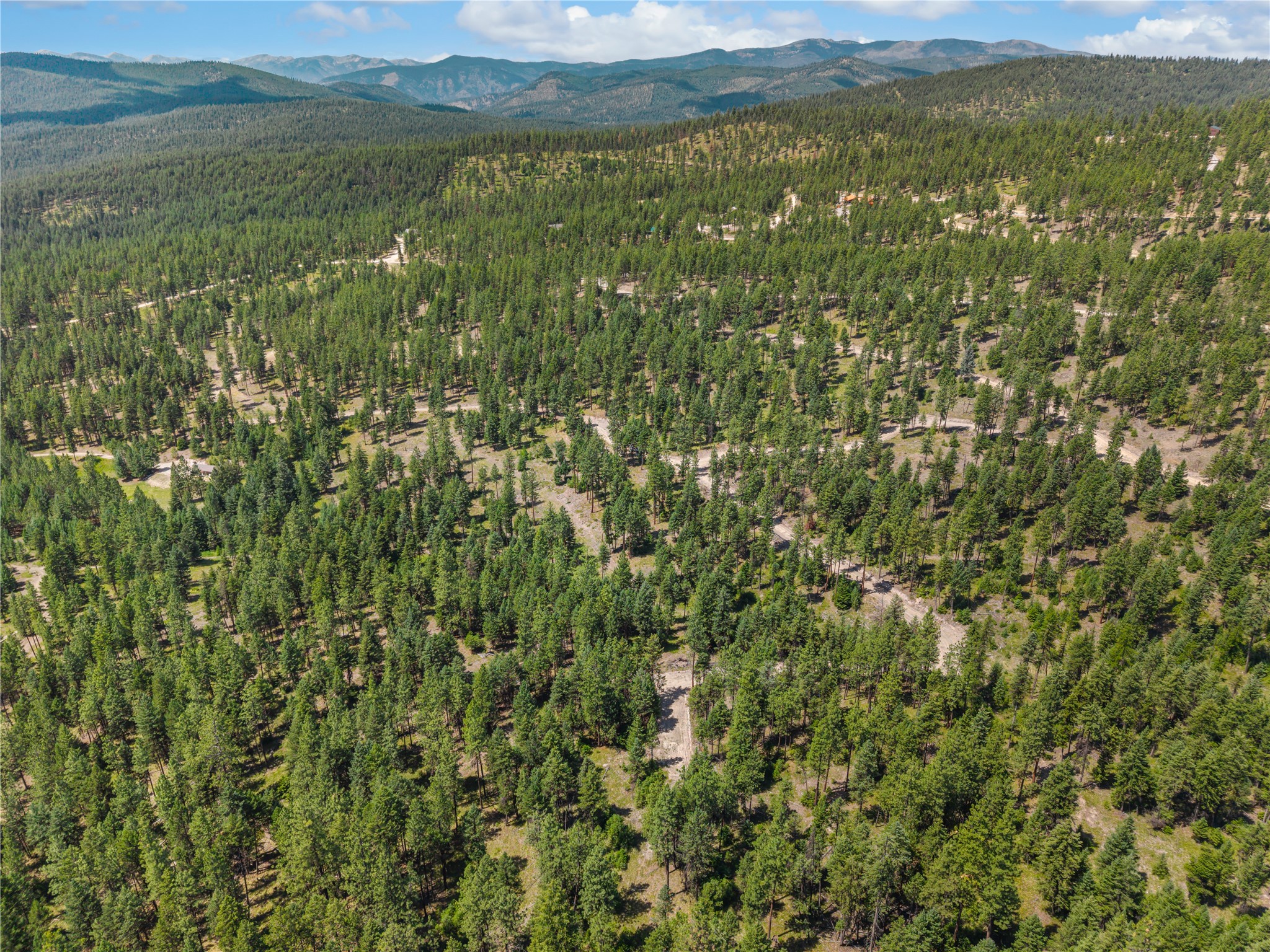 Aerial view of a pine-covered property with dirt roads and mountain ranges beyond.