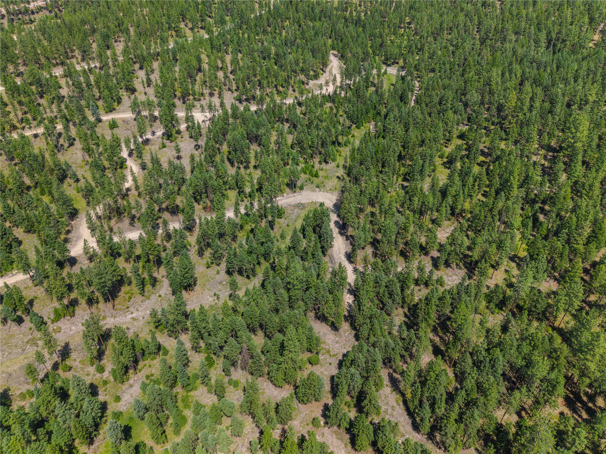 Aerial view of a wooded parcel with evergreen trees and winding dirt roads.