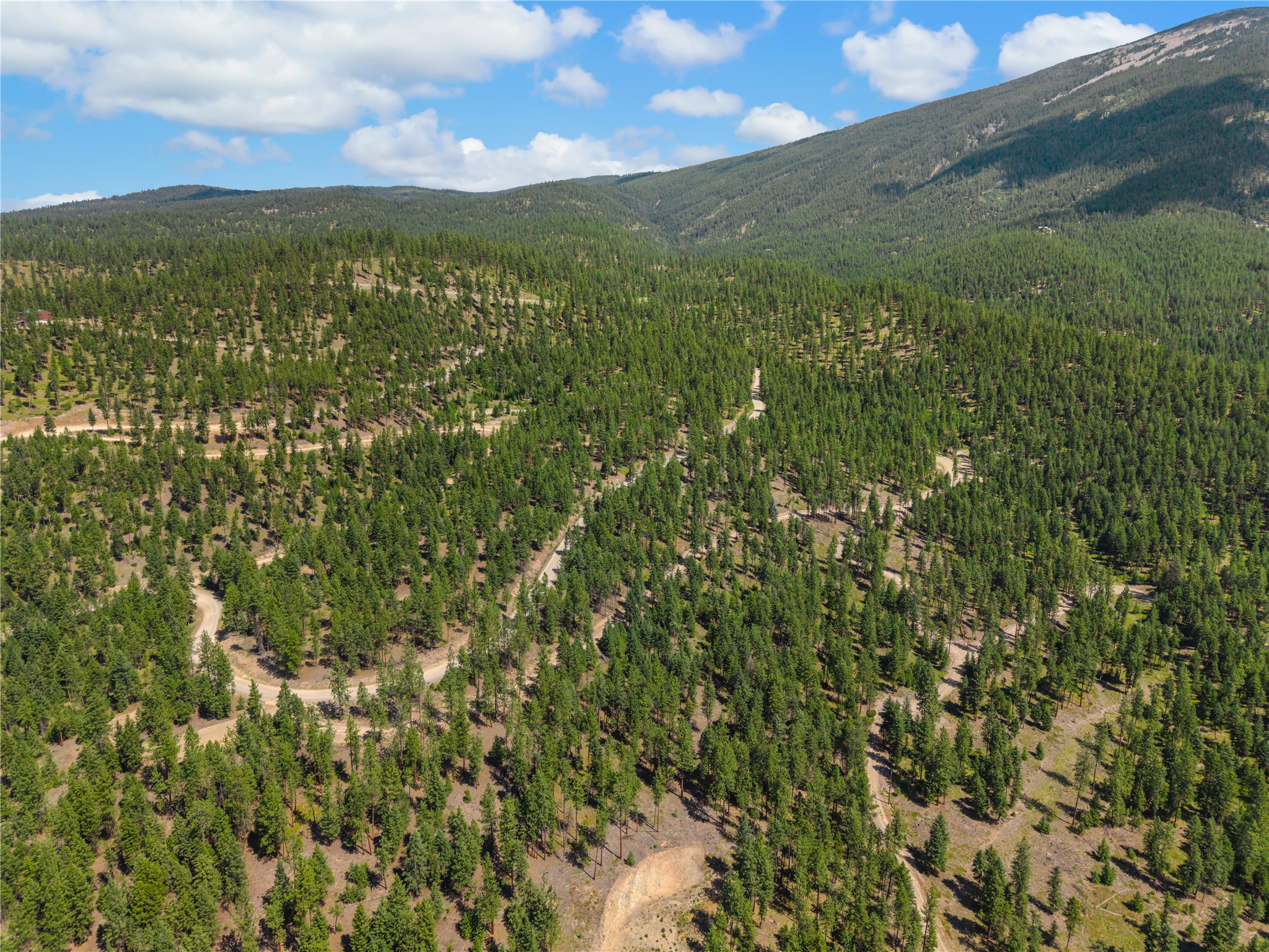 Aerial view of wooded land with winding dirt roads and forested mountain slopes.