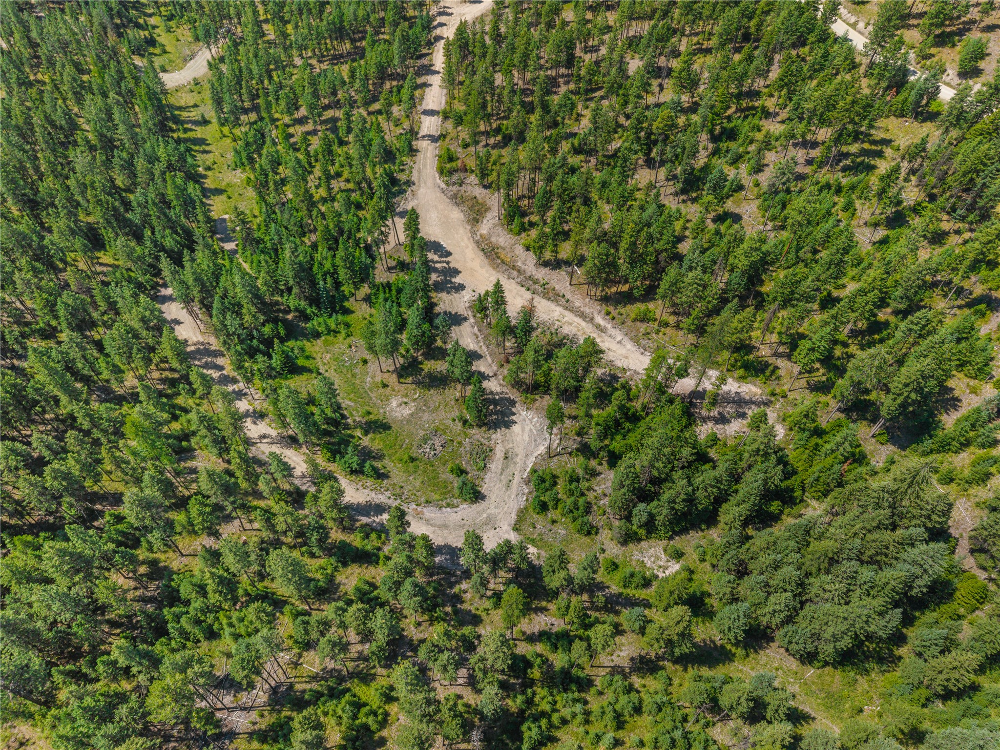 Aerial view of wooded land crossed by winding dirt roads and scattered clearings.