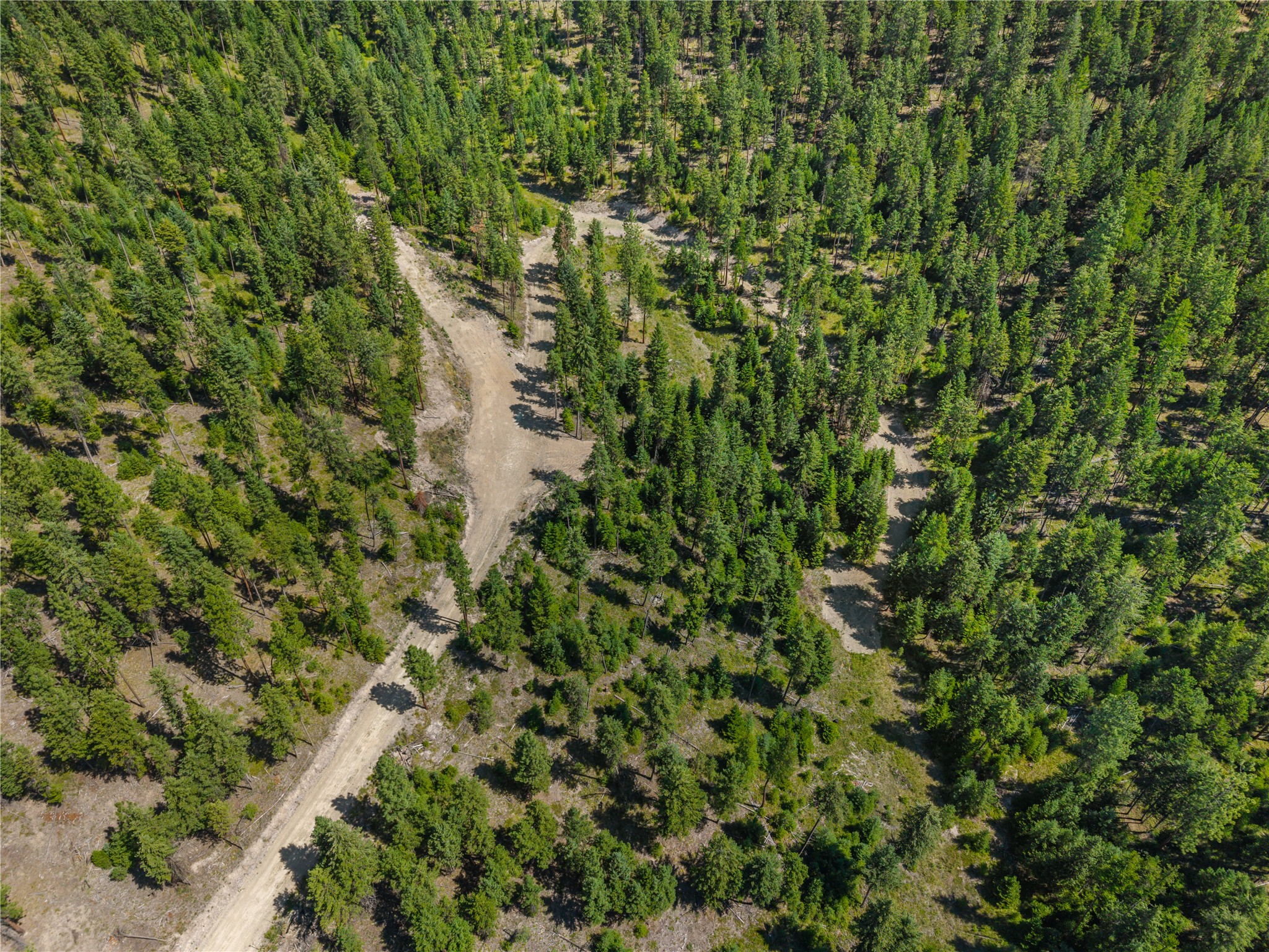 Aerial view of a wooded lot with evergreen trees, clearings, and dirt access roads.