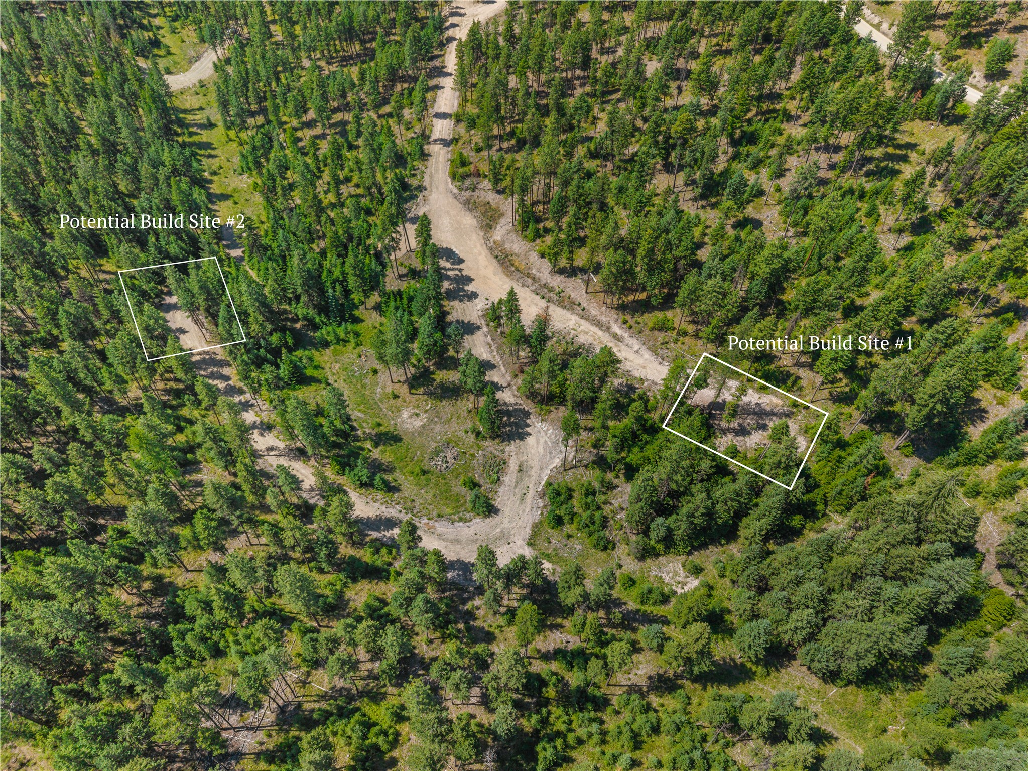 Aerial view of wooded acreage with two outlined potential build sites beside dirt roads.