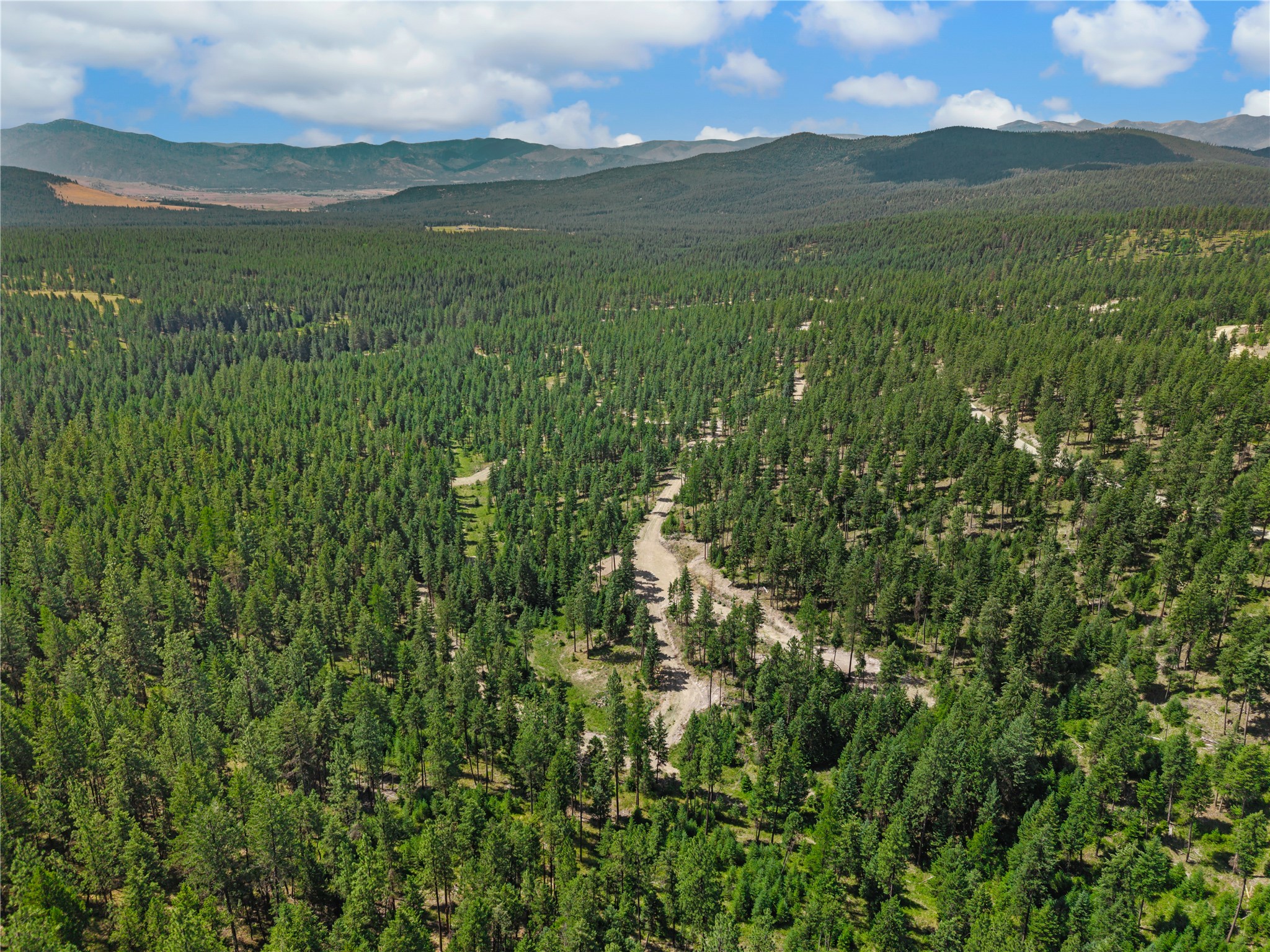 Aerial view of wooded land with winding dirt tracks and forested mountain ridges.