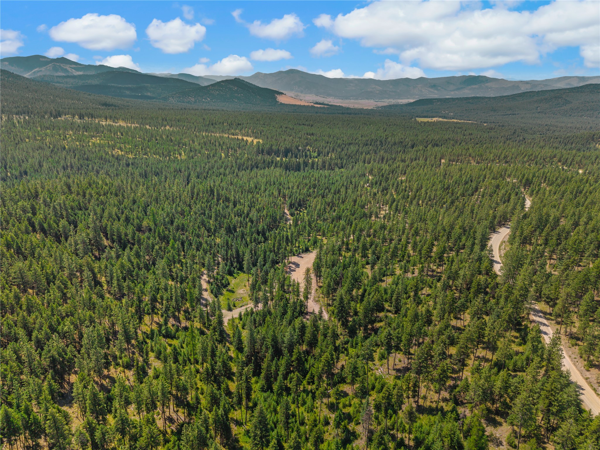 Aerial view of forested land with winding dirt roads and mountain ranges in the distance.