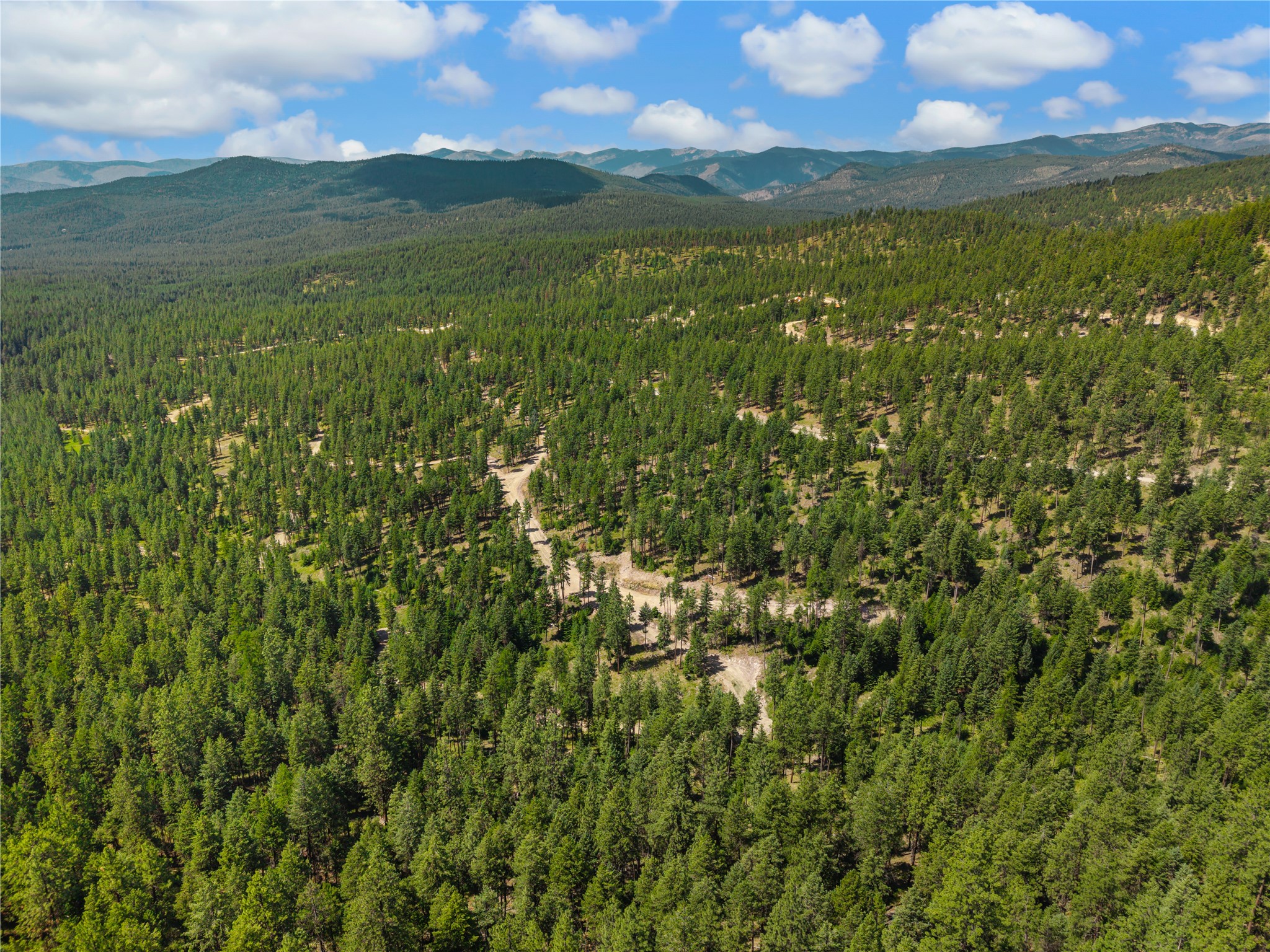 Aerial view of a forested mountain lot, with a winding dirt road and distant ridgelines.