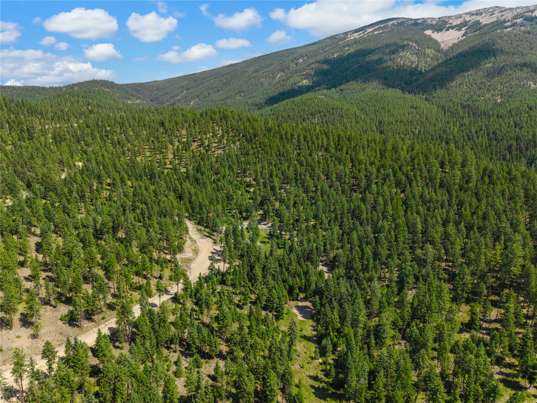 Aerial view of forested land with a winding dirt road and mountain views.