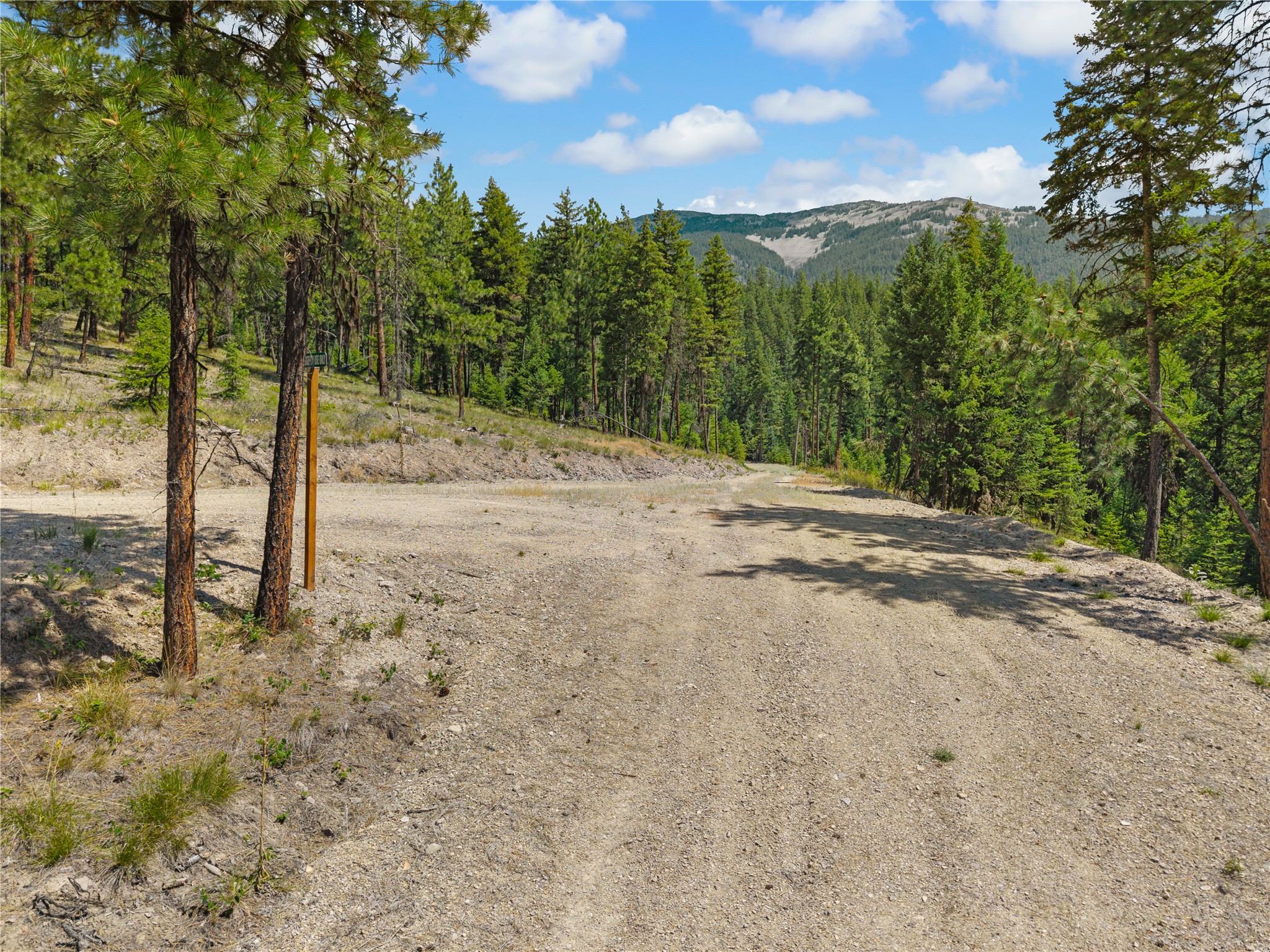 Gravel road through a pine-wooded lot, with a small marker and distant mountain ridge.