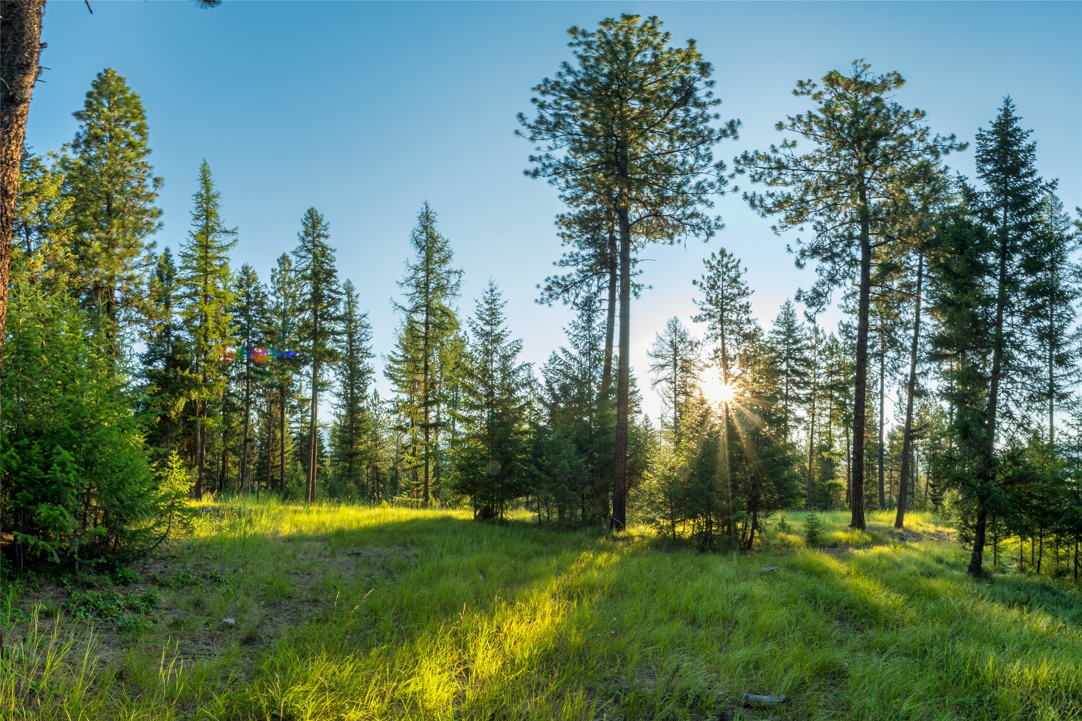 18 Baldy Mountain View Road