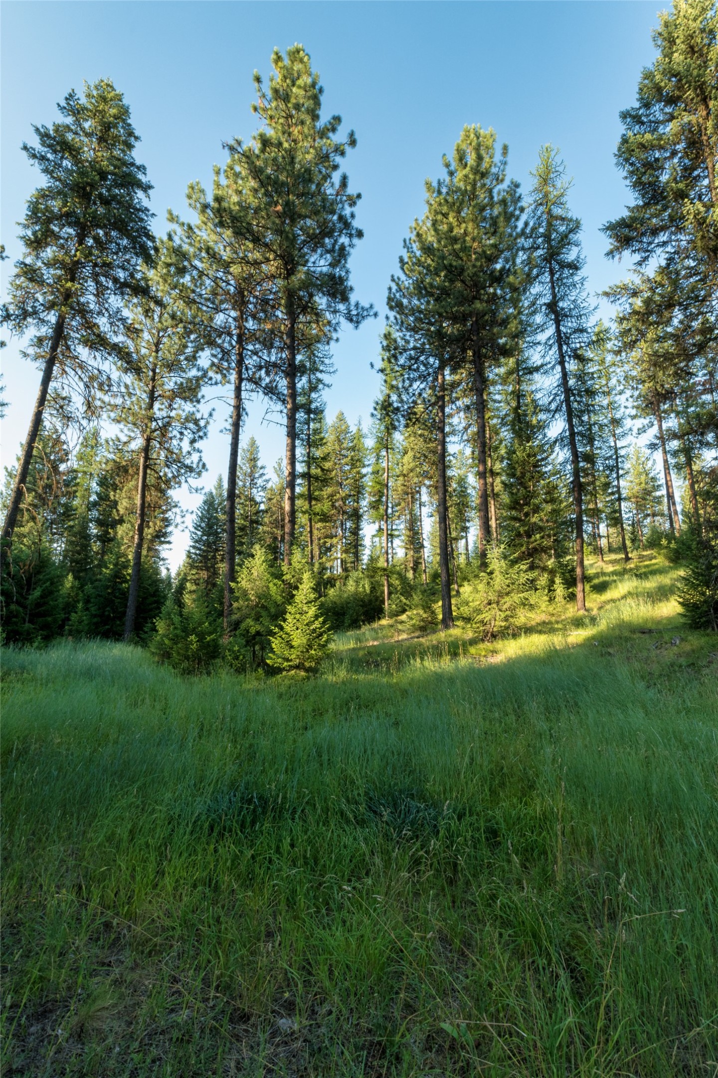 18 Baldy Mountain View Road