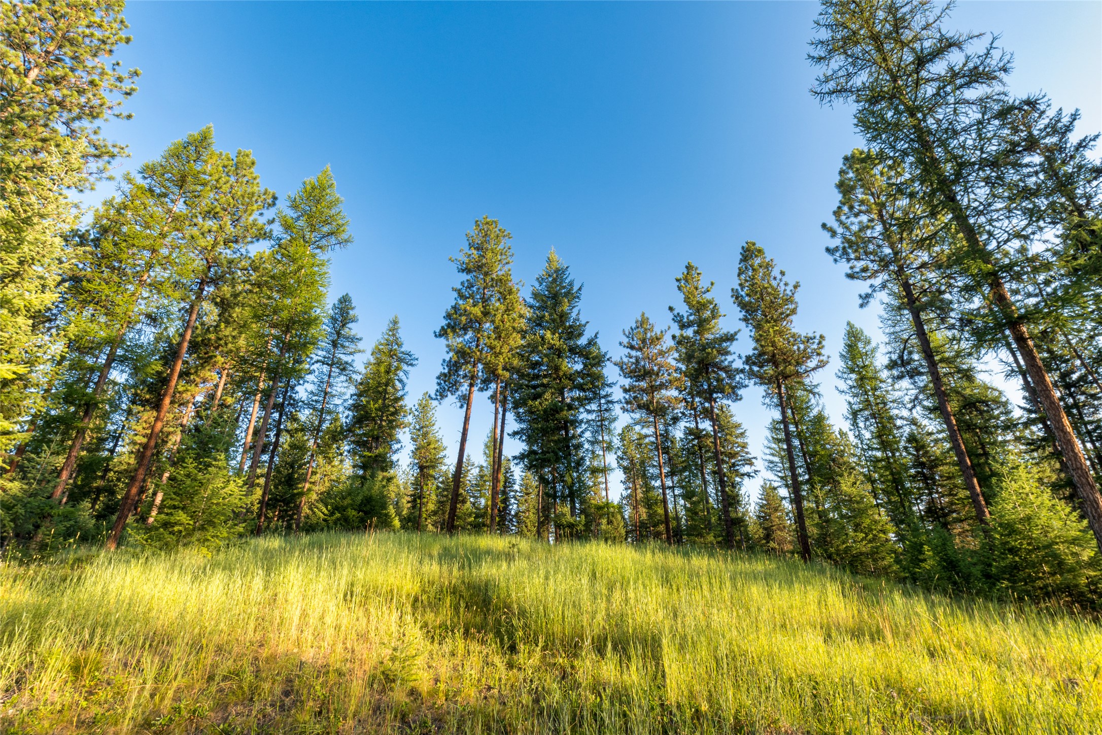 18 Baldy Mountain View Road