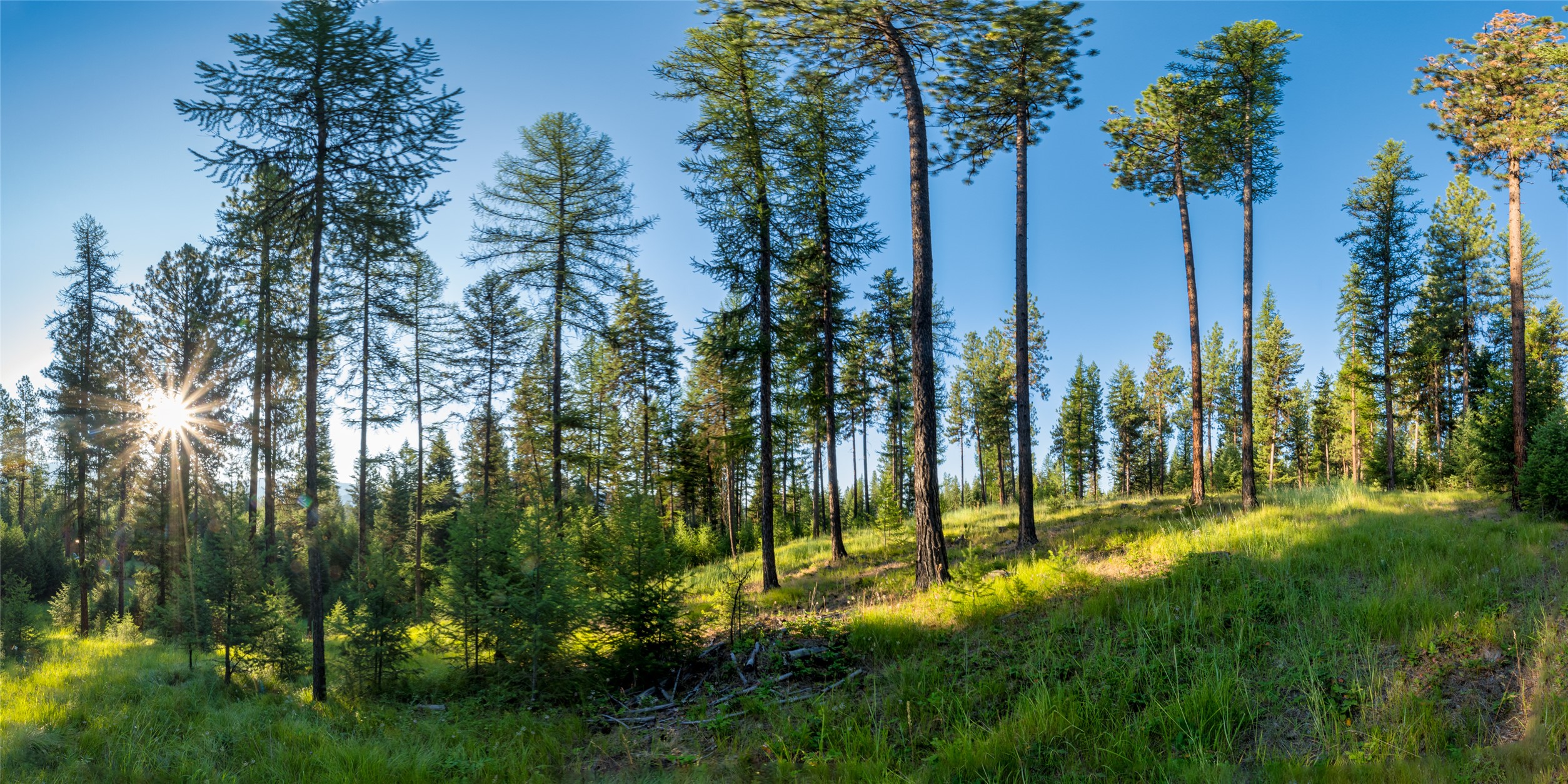 18 Baldy Mountain View Road