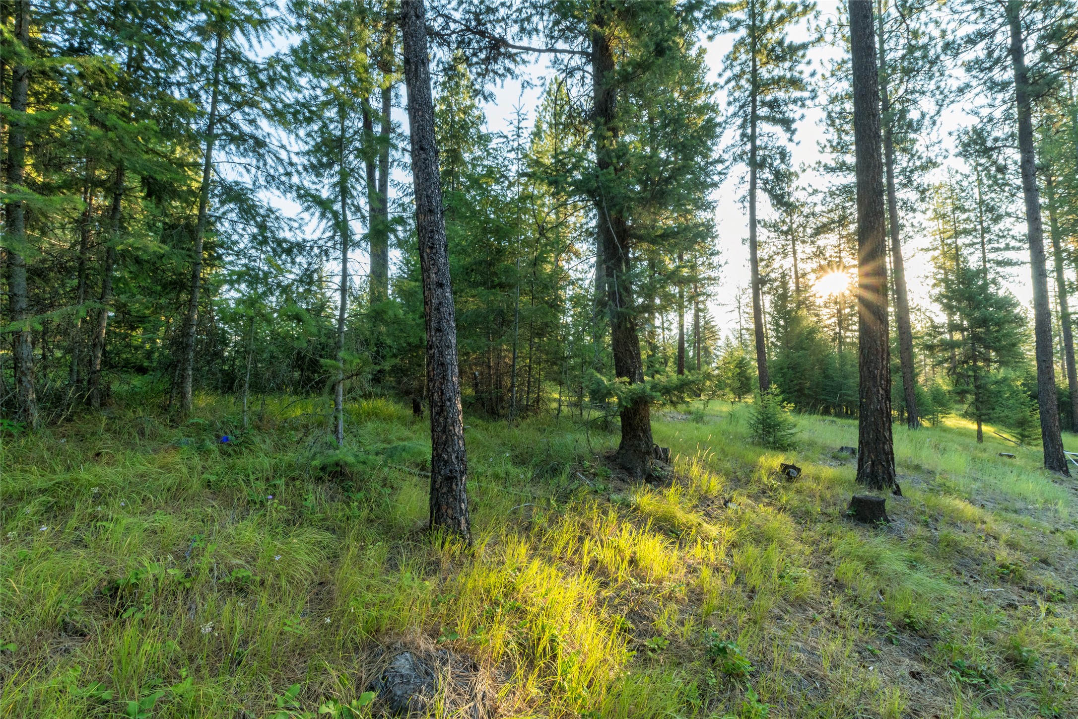 18 Baldy Mountain View Road